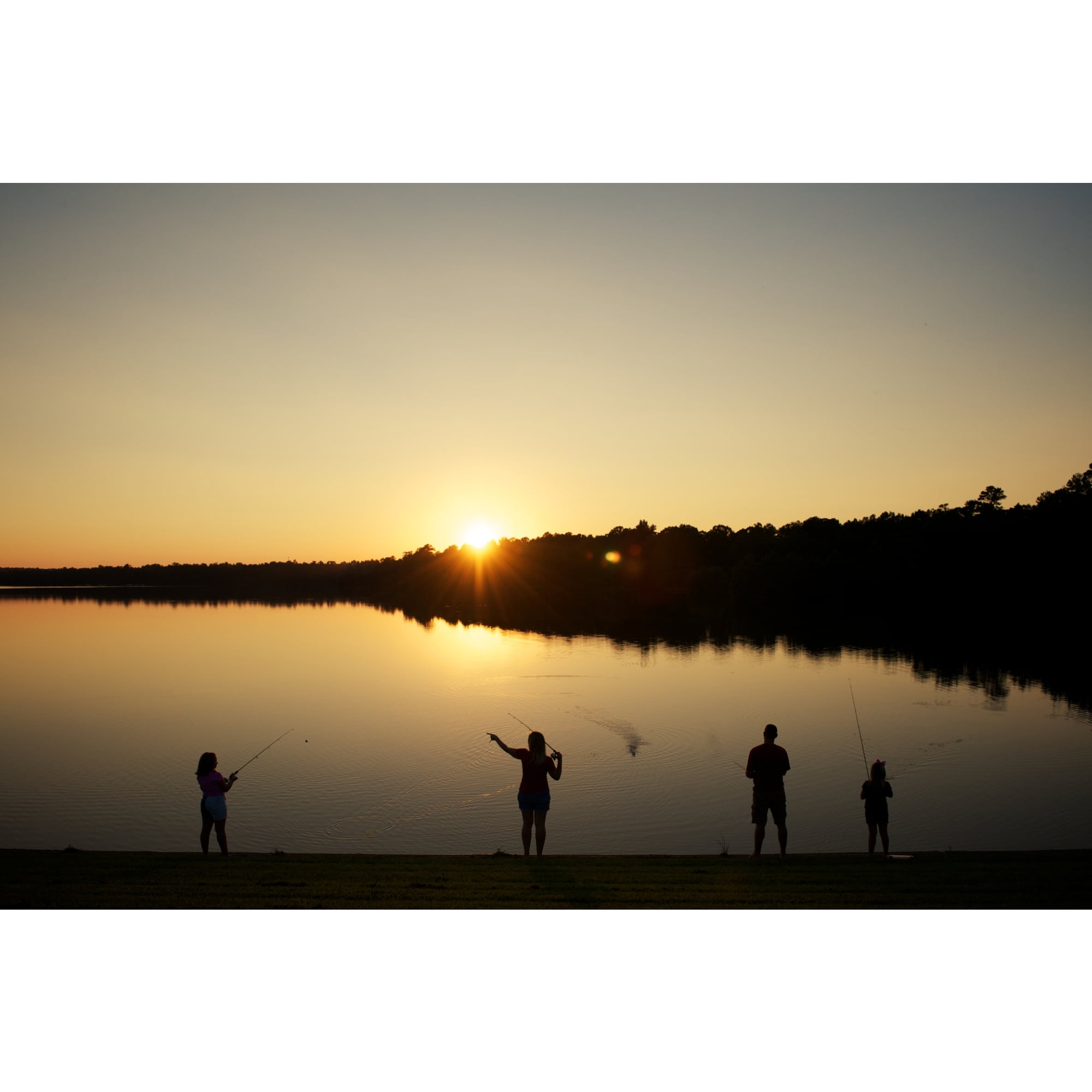 Shakespeare Crappie Hunter Spinning Rod, 12' Light Fishing Rod, 2 Piece - Image 3