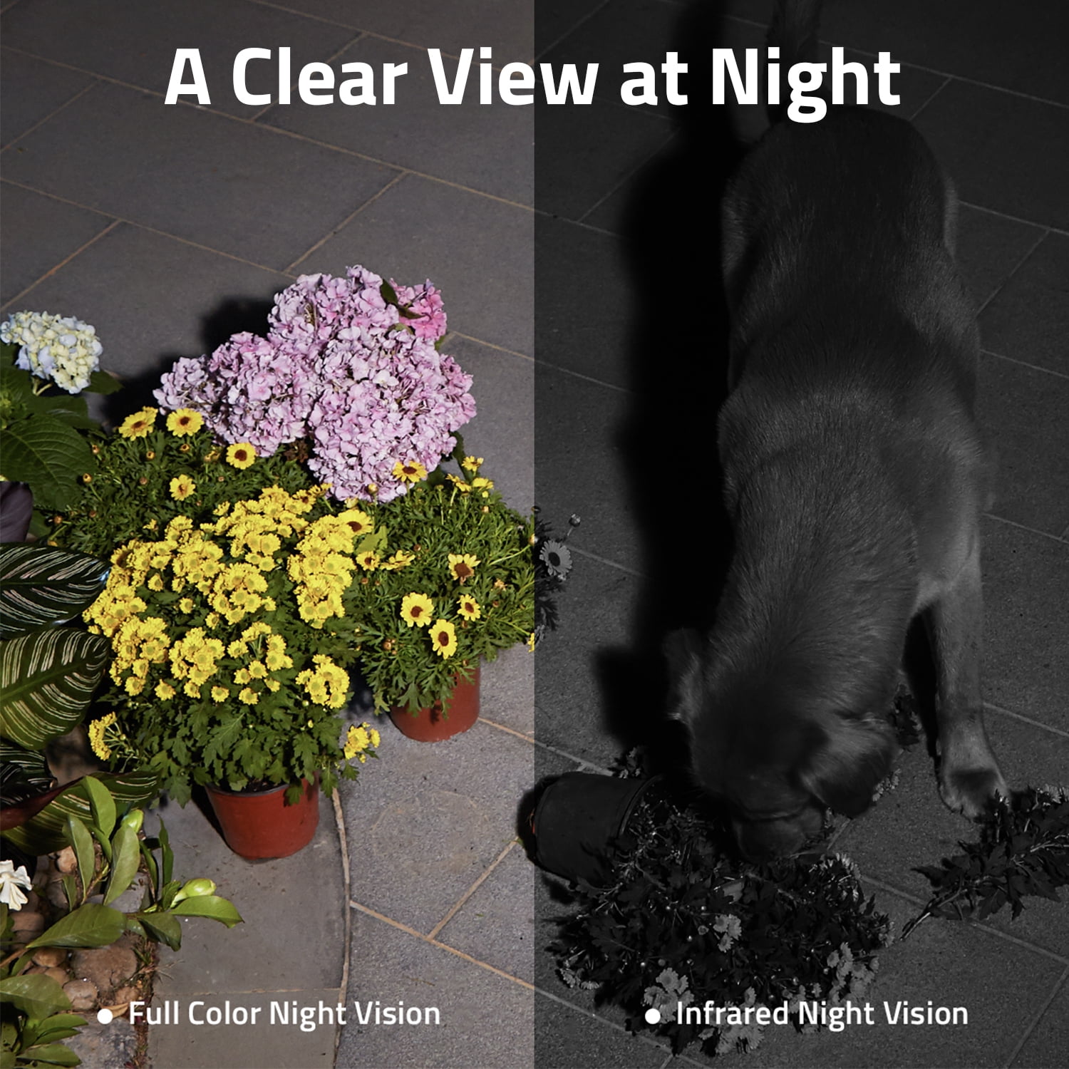 eufy SoloCam S230 Wireless 2K Solar Powered Camera w/Spotlight, No Monthly Fee - Image 5