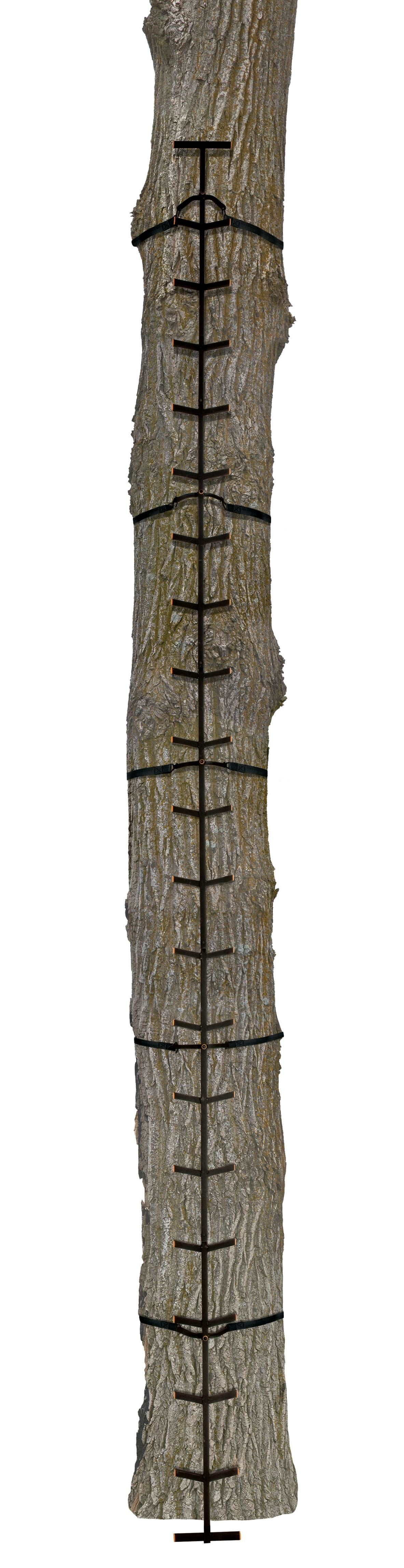 MUDDY QUICK STICK XL CLIMBING STICKS, STEEL, 5 SECTIONS, 48" PER SECTION, TOTAL 20' TALL - Image 5