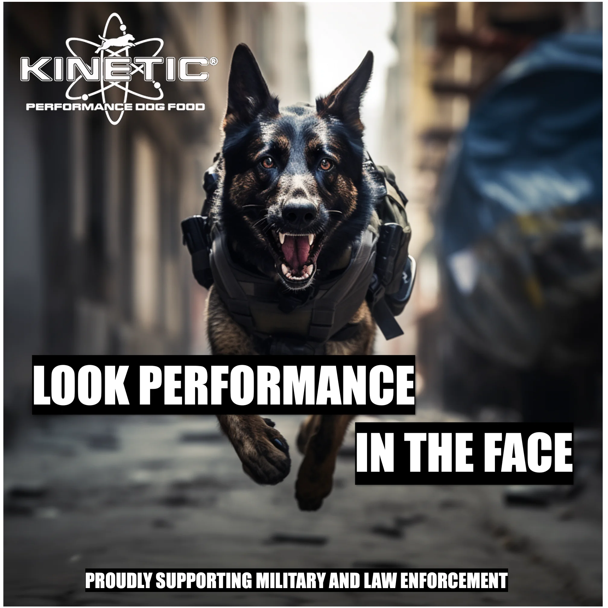 43899-Active 26K Kinetic Dog food 35 lb. - Image 5