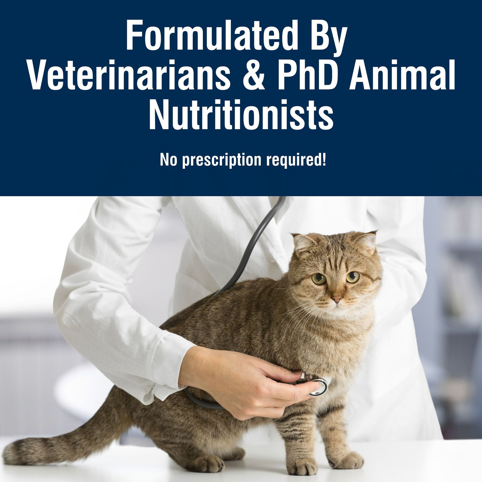 Blue Buffalo True Solutions Digestive Care Natural Dry Cat Food, Chicken, 11-lb. Bag - Image 3