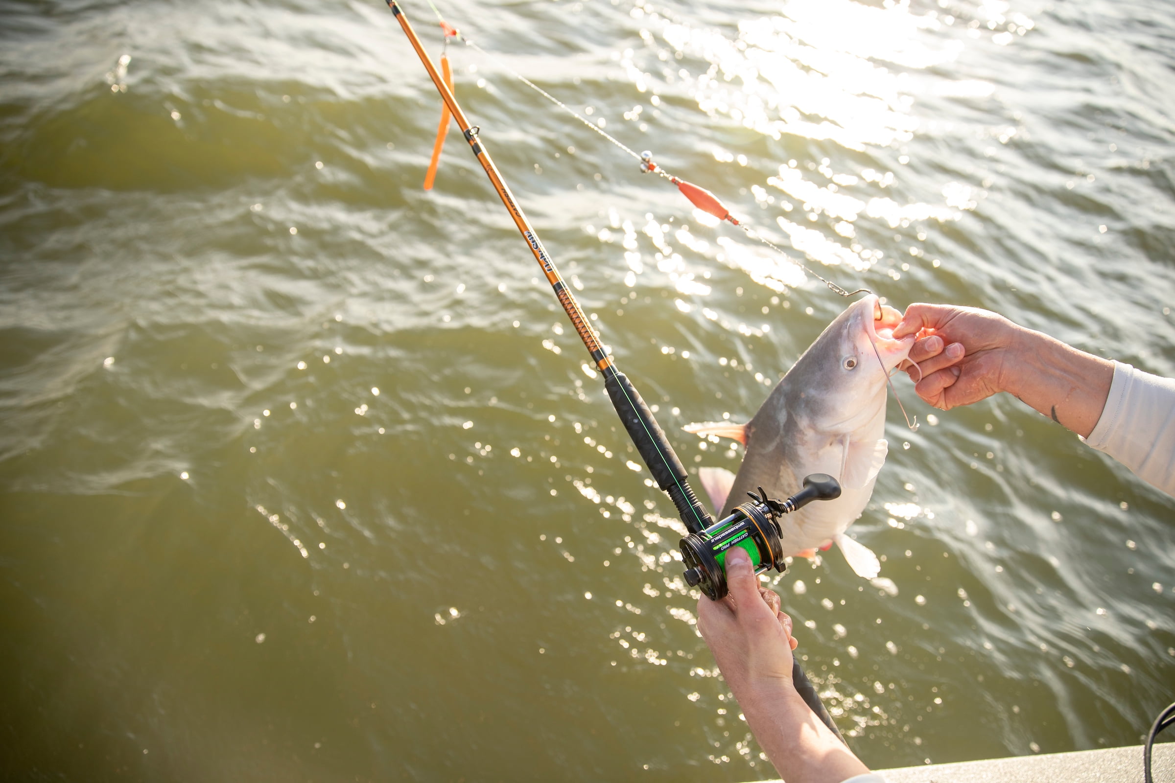 Ugly Stik Catfish Special Casting Rod, 10' Medium Heavy Fishing Rod, 2 Piece - Image 8