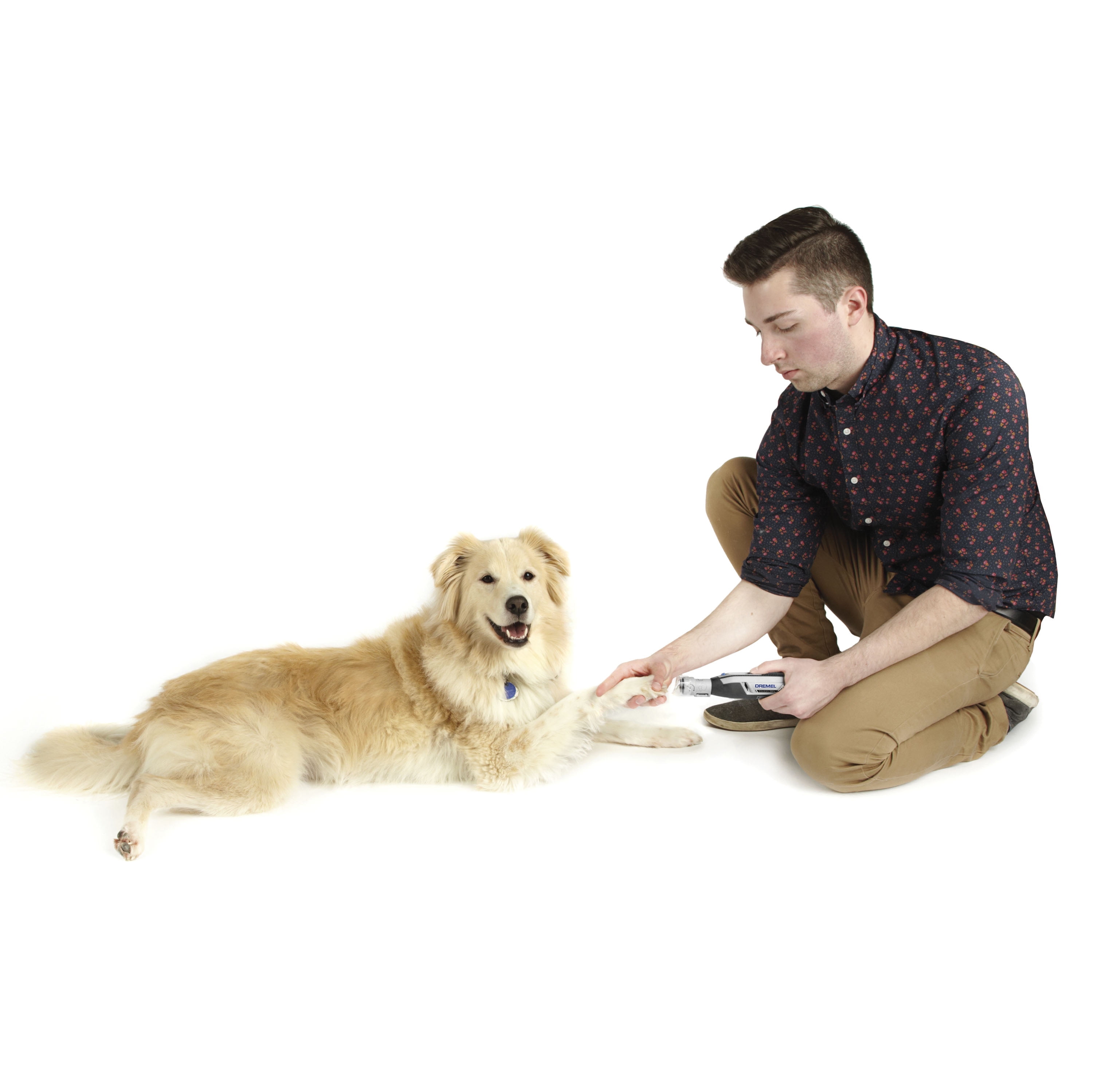 Dremel 7760-PGK 4 Volt Cordless Rotary Dog and Cat Pet Nail Grooming Kit with 10 Additional Grooming Disks - Image 9