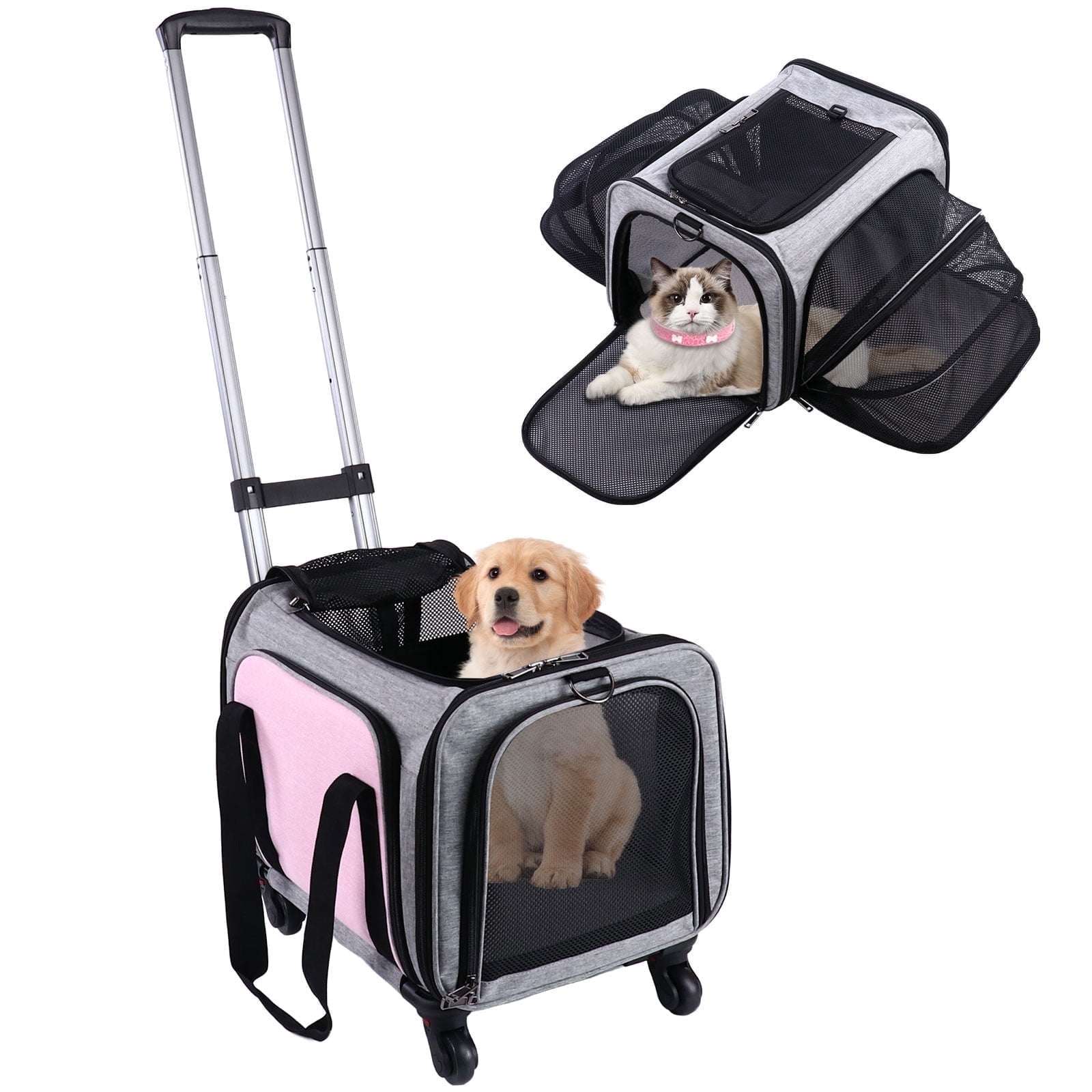 BEBANG Rolling Pet Carrier with Wheels, Foldable Airline Approved Dog Carriers for Small Dogs and Cats, Cat Carrier on Wheels, Pet Travel Carrier for Flight Camping Outdoor - Image 2