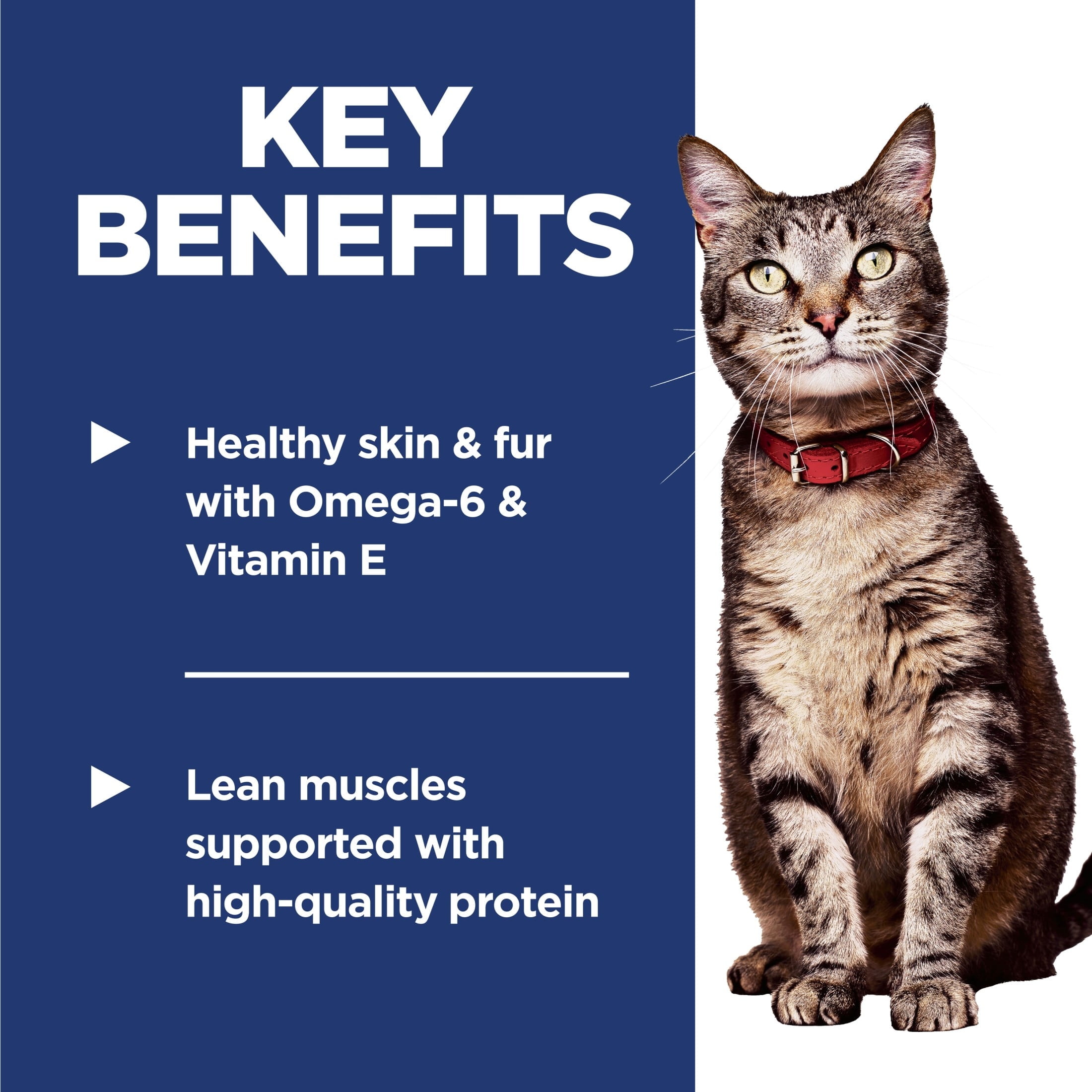 Hill's Science Diet Chicken Dry Cat Food, 16lb Bag - Image 2