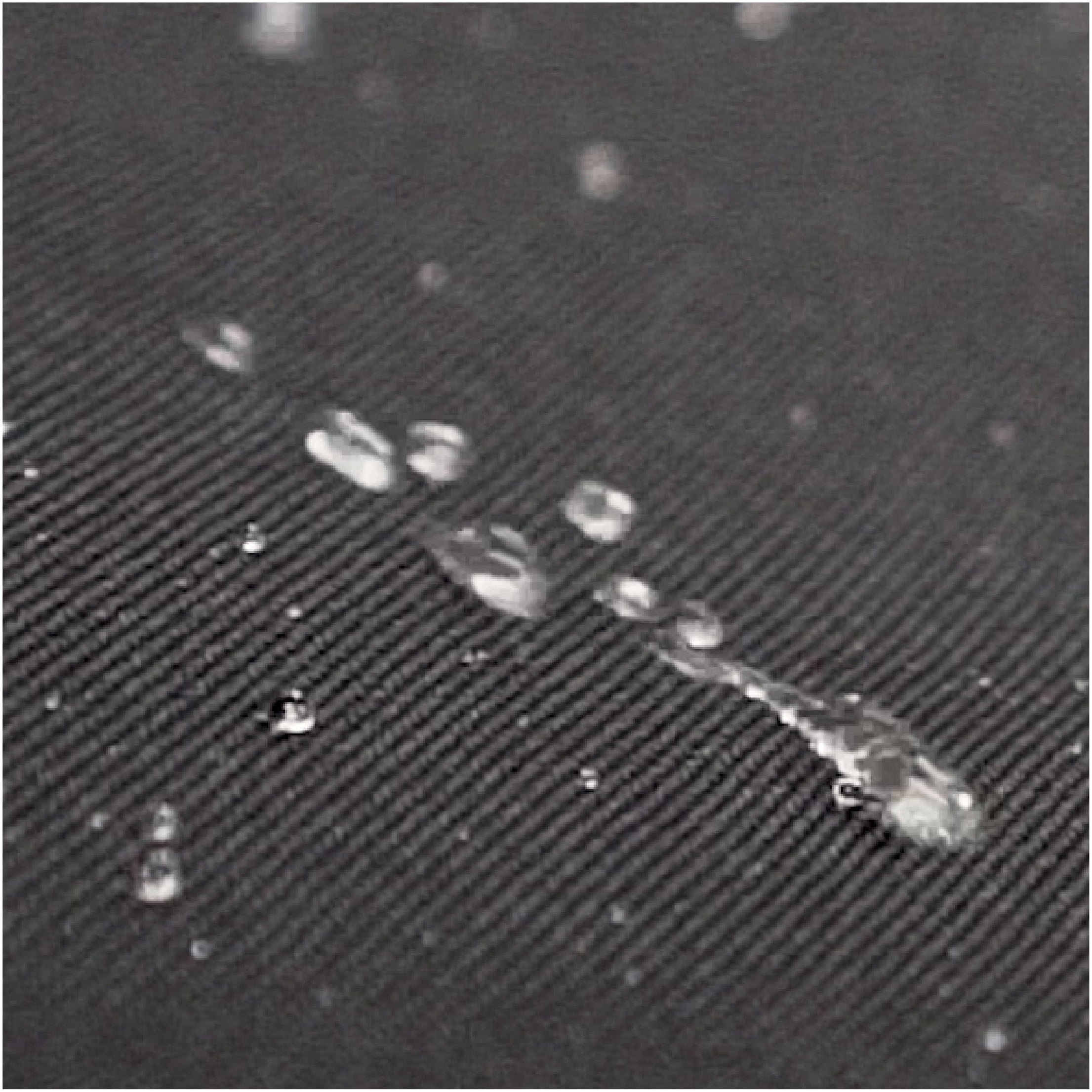 Blackstone Carry Bag for 17" or 22" Griddle, Hood & Stand - Image 4