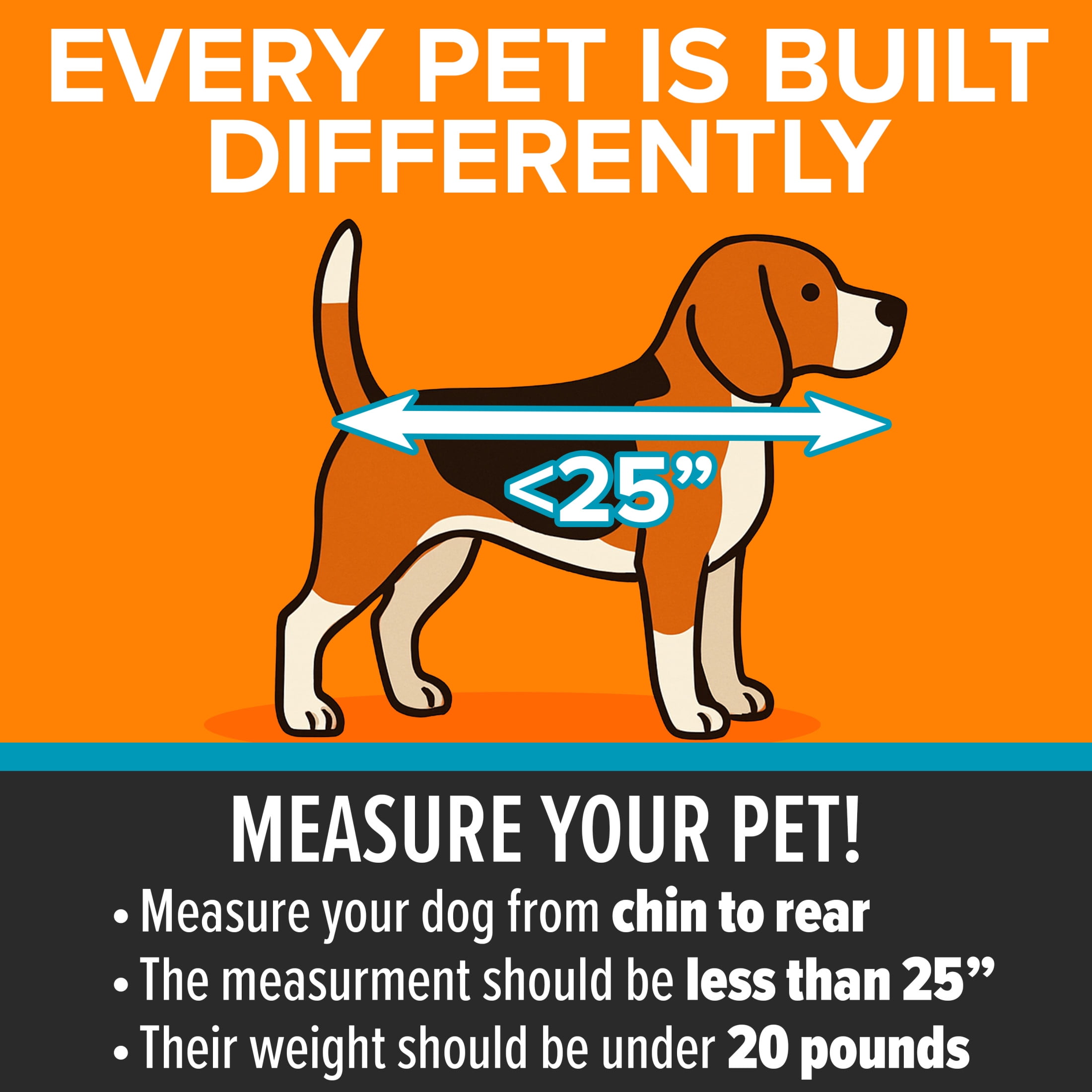 K&H Pet Products Travel Safety Carrier for Pets Gray/Black Medium 24 X 19 X 17 Inches - Image 4