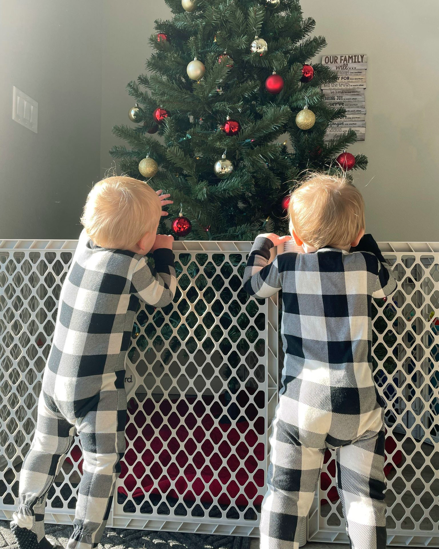 Toddleroo by North States Superyard Explorer Baby Play Yard, Gray Plastic - Image 3