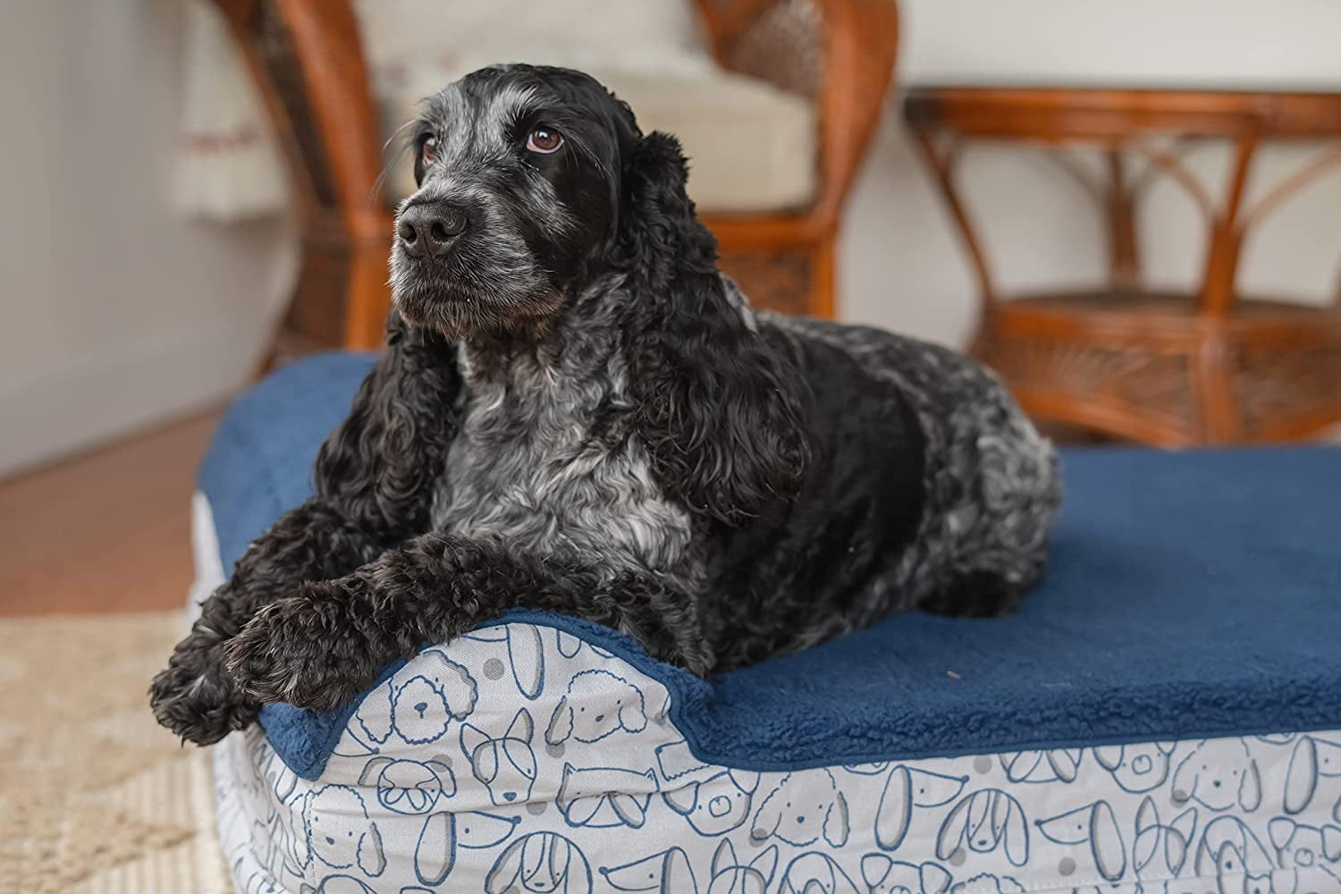 Harry Barker Premium Waterproof Orthopedic Pet Bed, 11 Inches Thick, Blue, Large - Image 6