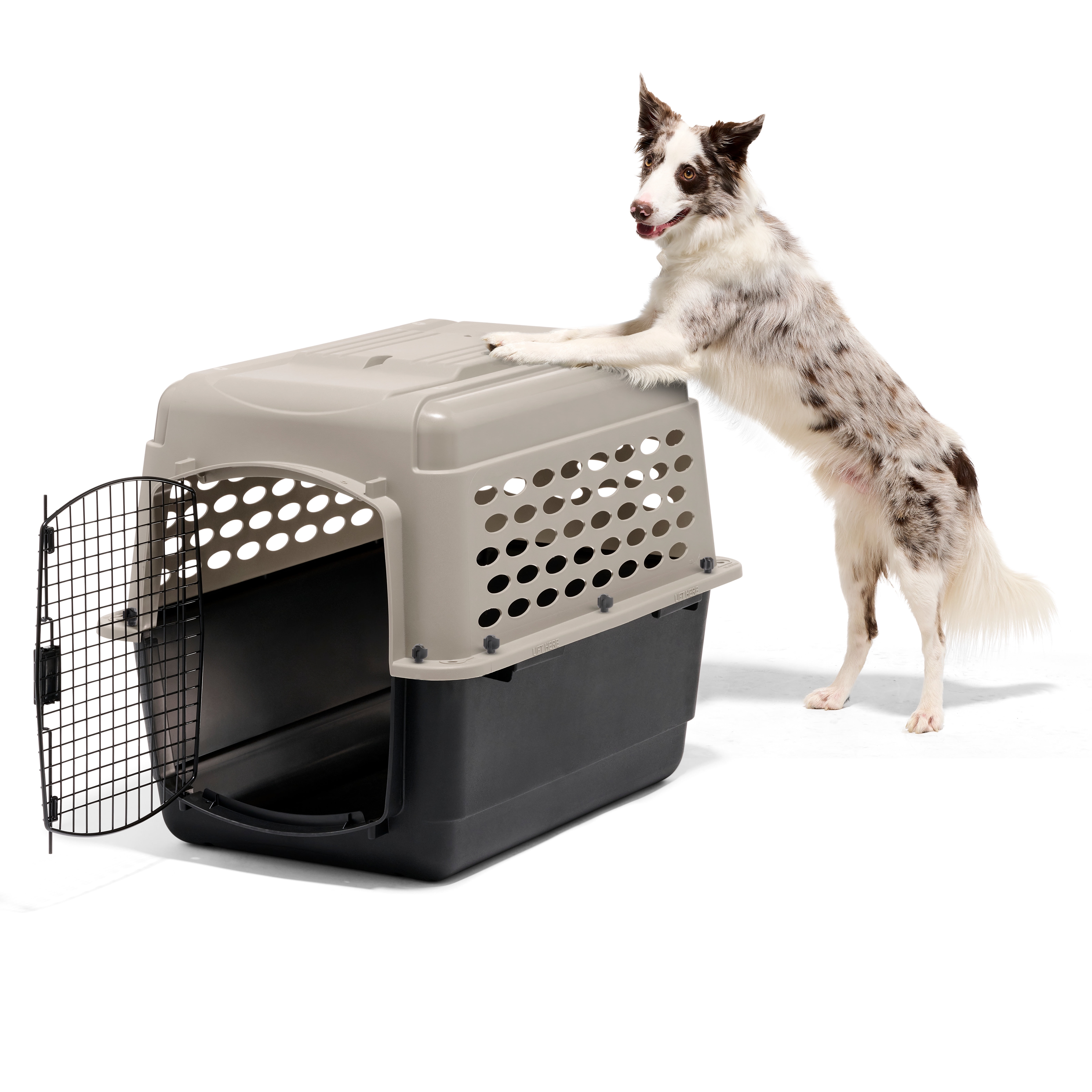 Petmate Vari Medium Plastic Portable Dog Kennel Airline Friendly Pet Carrier, 32" for Pets 30-50 lb, Taupe/Black - Image 12