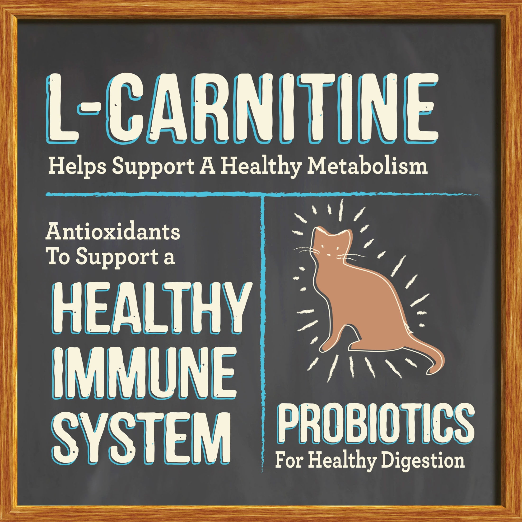 Merrick Purrfect Bistro, Grain Free Dry Cat Food, Chicken & Sweet Potato, 12 lb Bag - Image 8