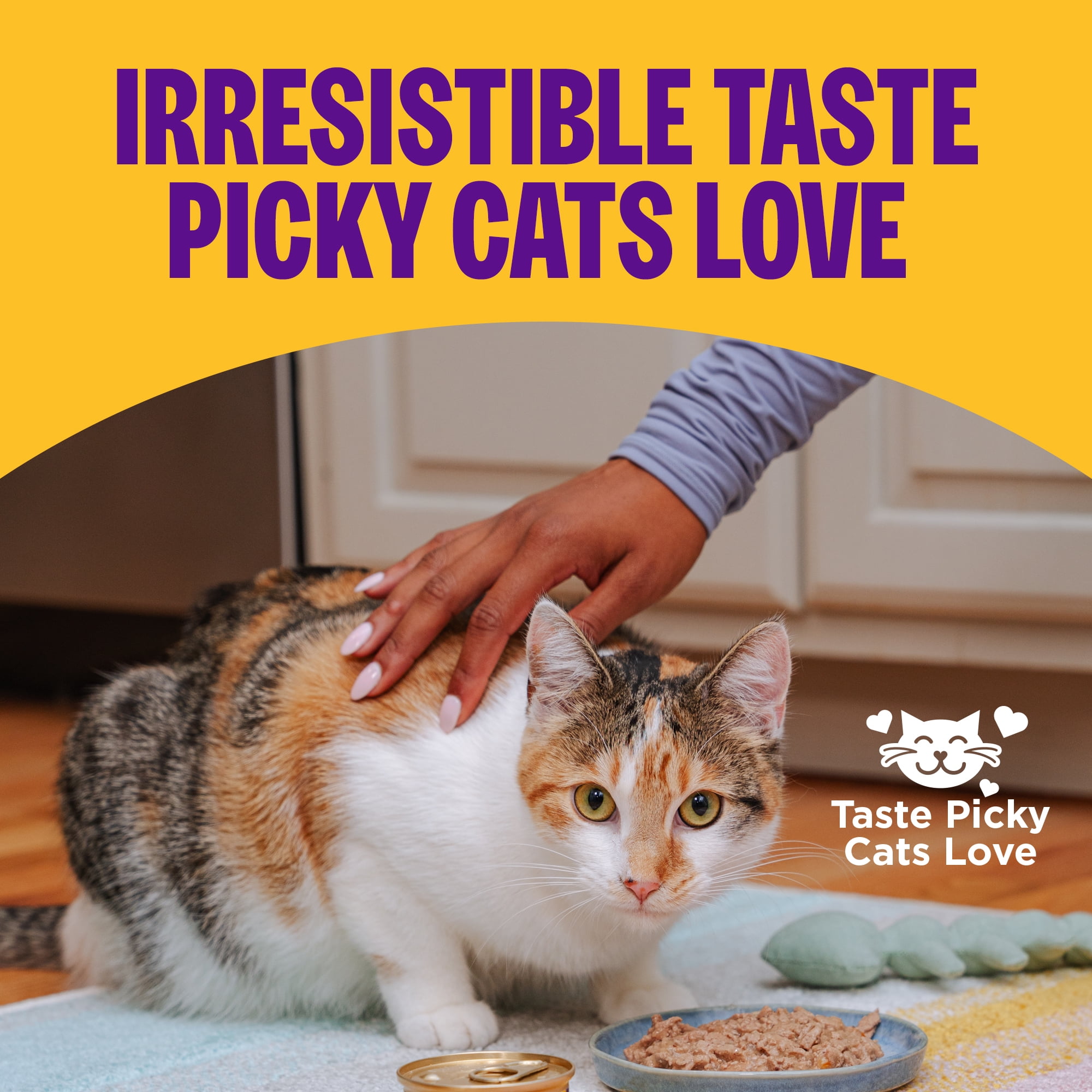 Wellness Complete Health Pate Kitten Wet Cat Food, Natural, Protein-Rich, Grain Free, 5.5 Ounce, 24 Pack, (Whitefish & Tuna) - Image 7