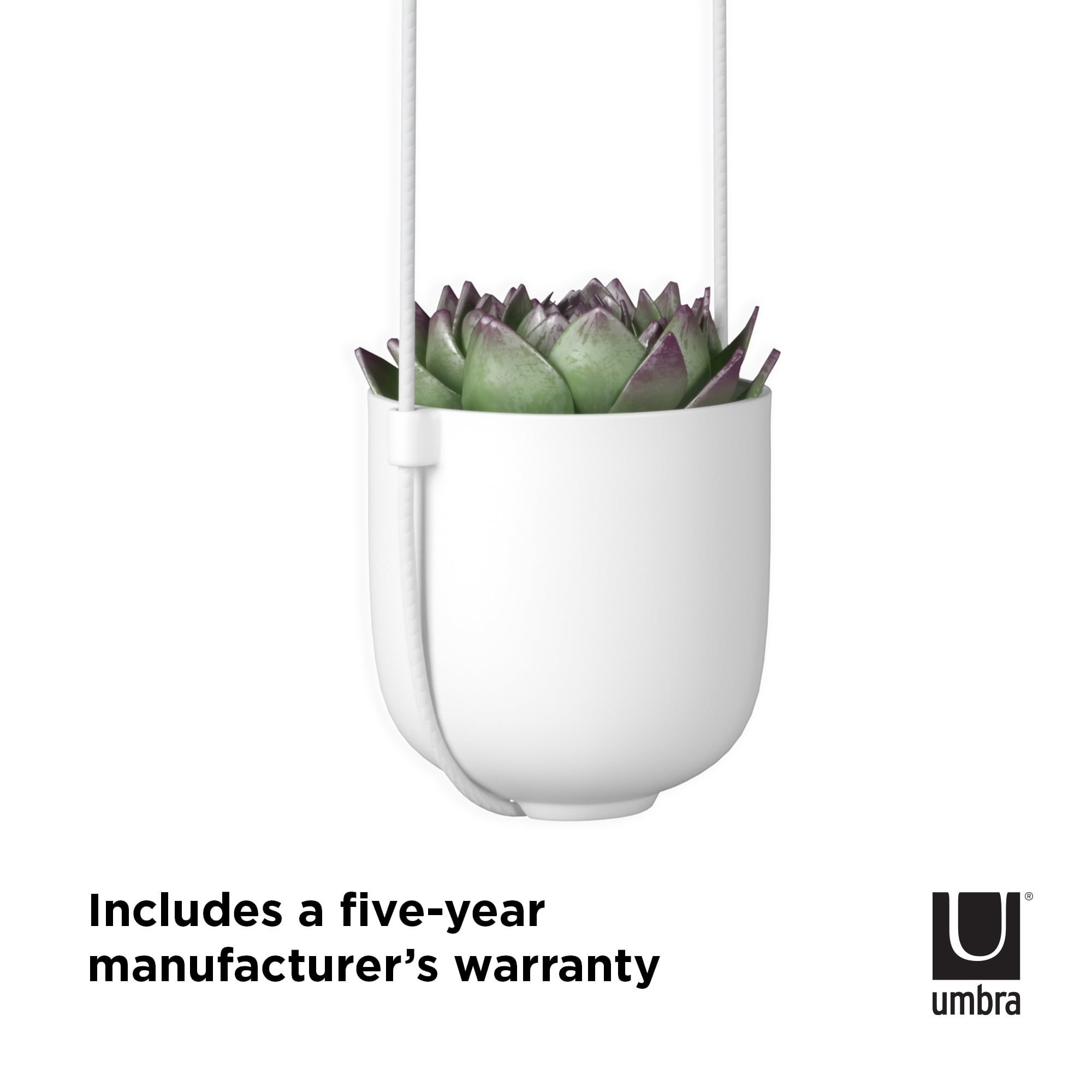Umbra Bolo Ceramic Hanging Wall Planter White - Image 16