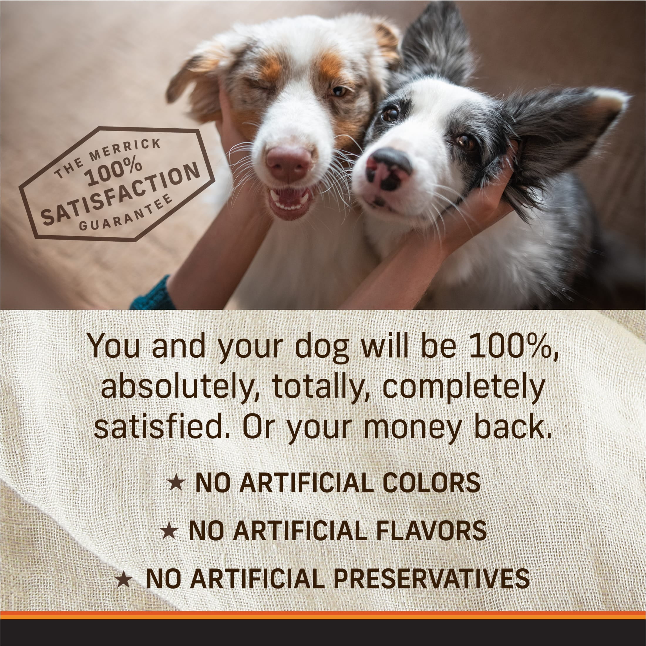 Merrick Grain Free Wet Dog Food for Adults, Real Chicken & Texas Beef, 12.7 oz Cans (12 Pack) - Image 11