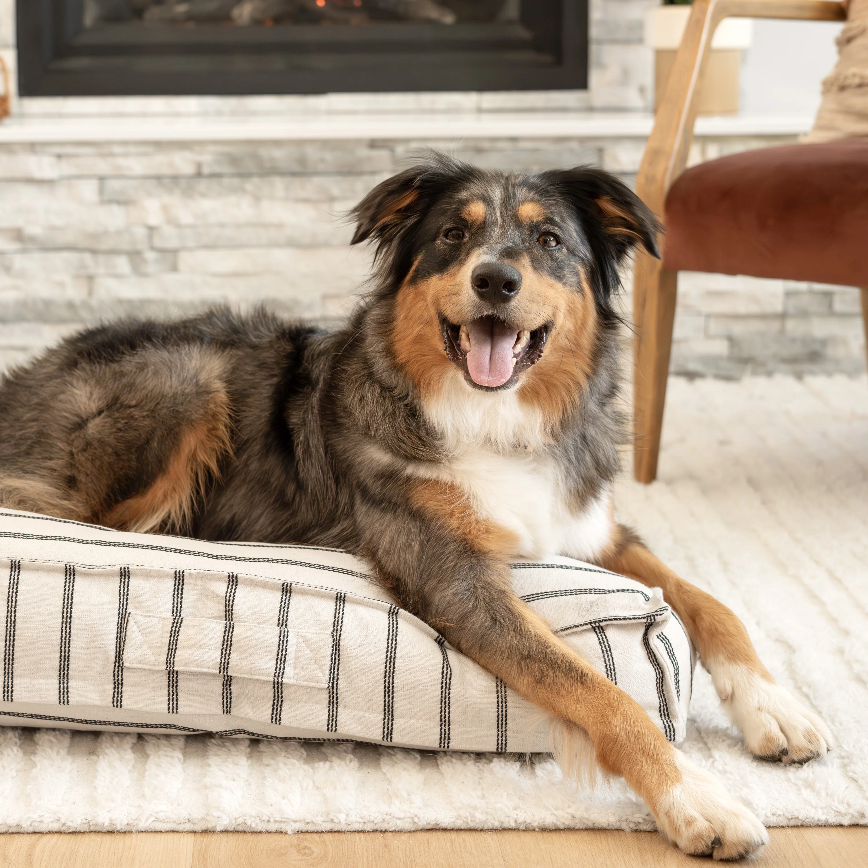 Harry Barker Striped Pillow Bed, Large, Multicolored - Image 5