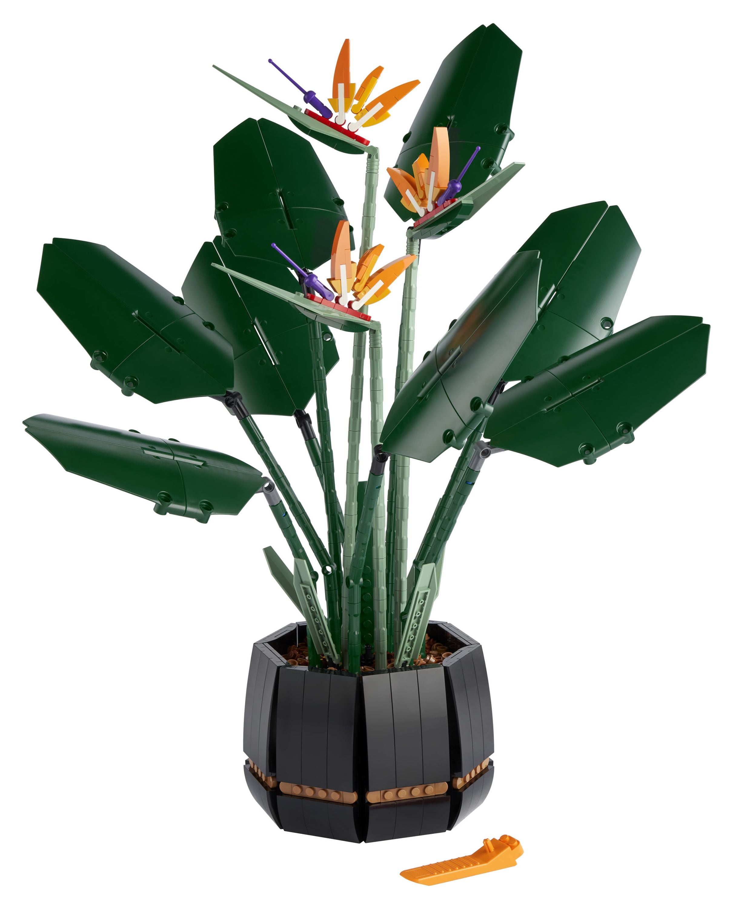 LEGO Icons Botanical Collection Bird of Paradise 10289, Flowers & Plants Model, DIY Set for Adults, Creative Activity, Office or Home Décor Gift Idea - Image 4