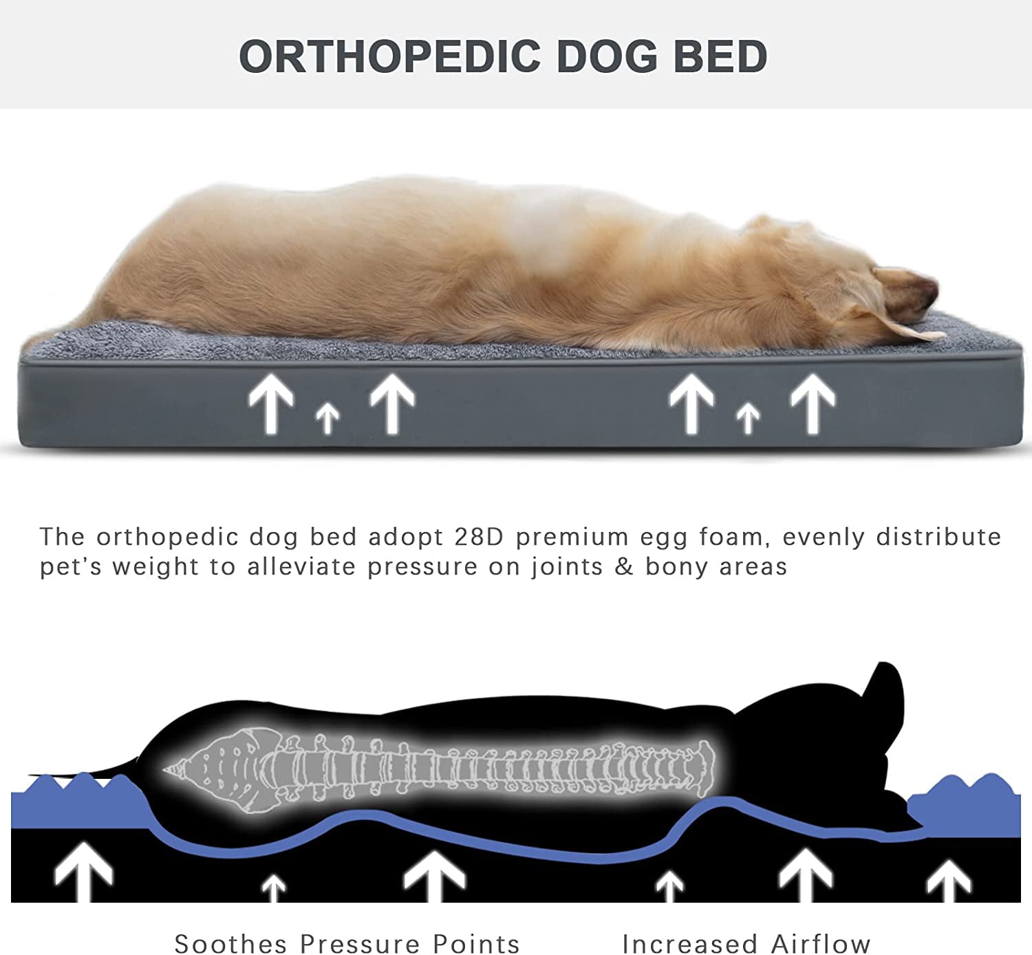 Large Dog Bed with Orthopedic Memory Foam Mattress Edition Pet Bed for Dogs & Cats, Jumbo, 40"x30", Up to 90lbs, Waterproof Liner & Washable Cover - Image 4