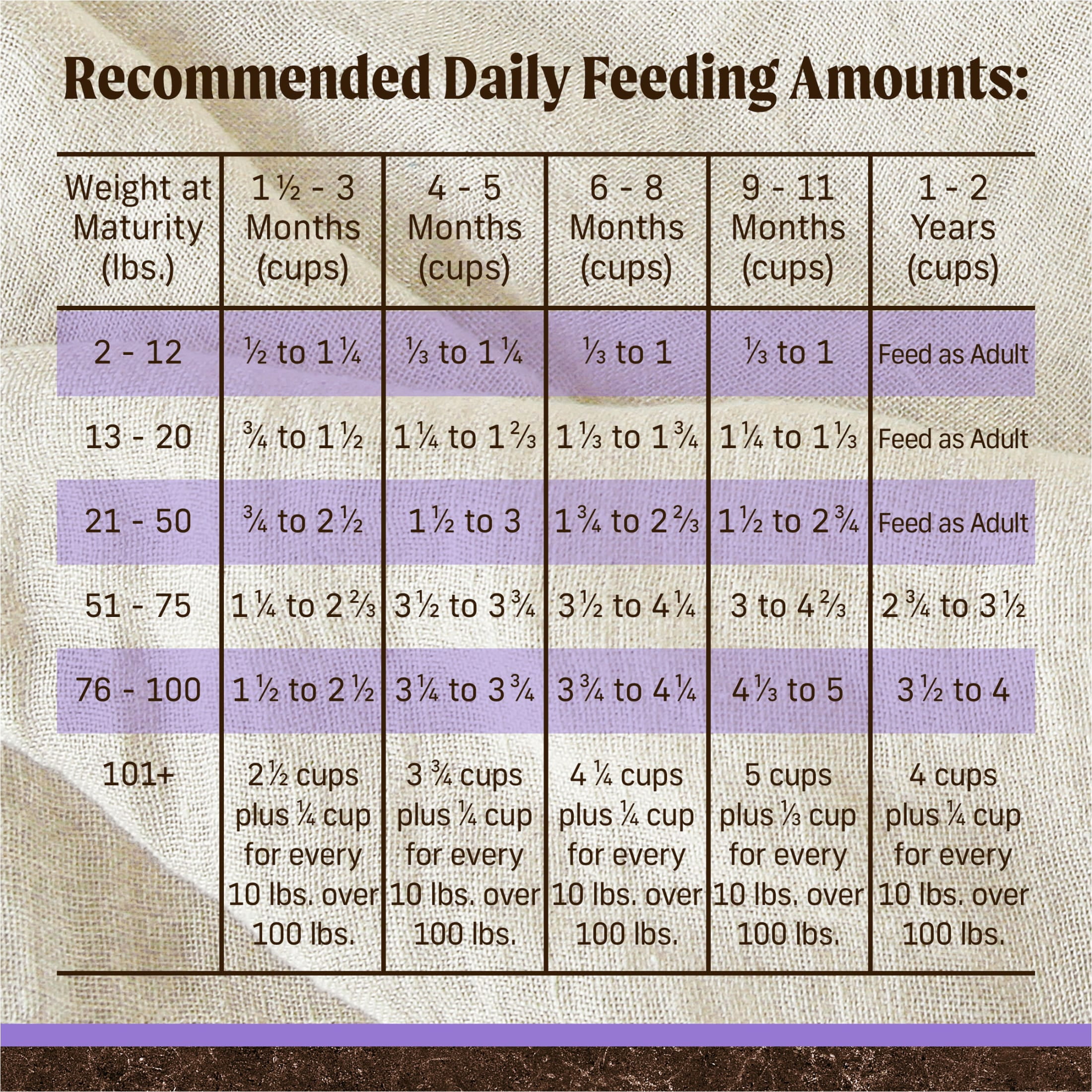 Merrick Grain-Free Puppy Dry Dog Food, High Protein Real Chicken & Sweet Potato, 22 lb Bag - Image 5