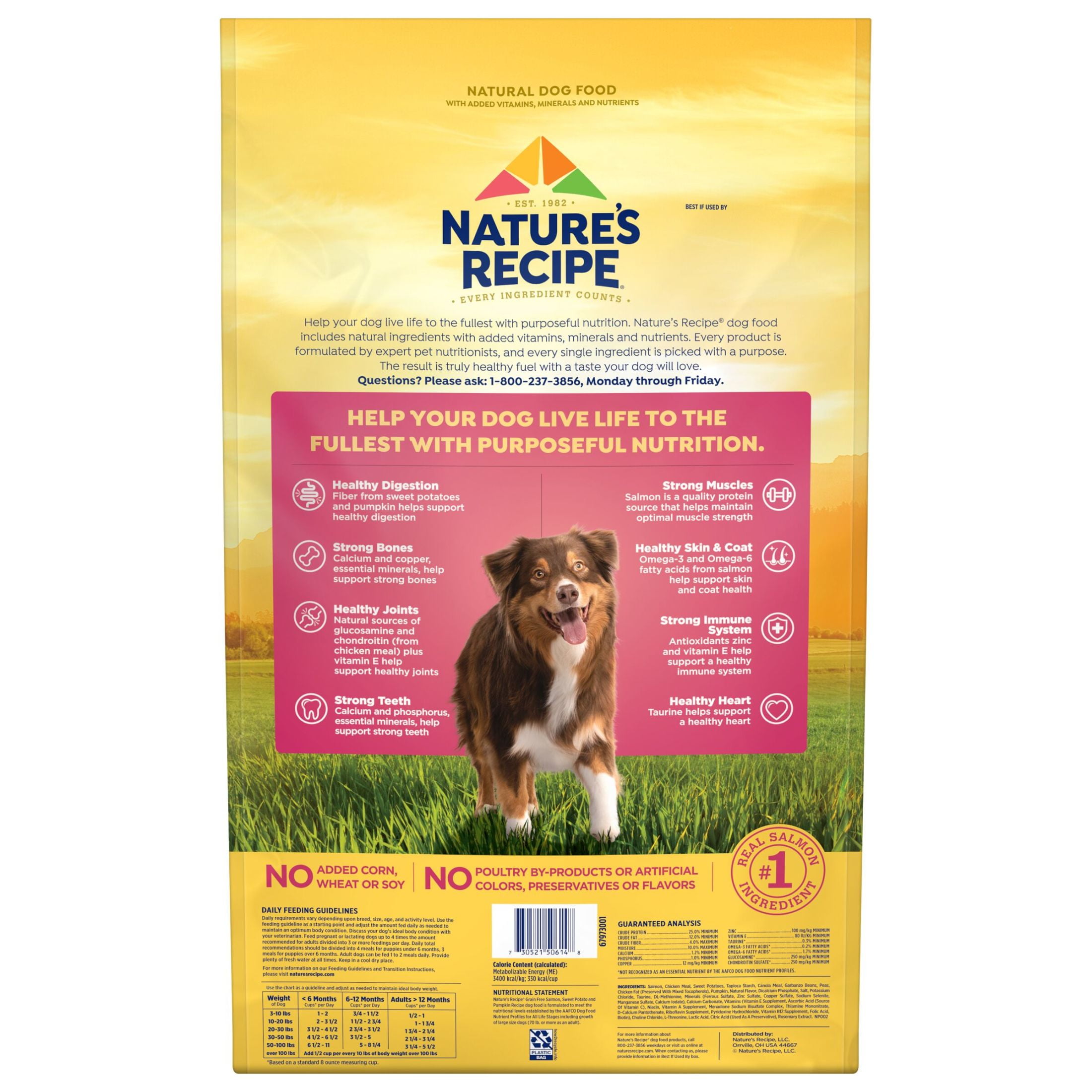 Nature’s Recipe Grain Free Salmon, Sweet Potato & Pumpkin Recipe Dry Dog Food, 24 lb. Bag - Image 14