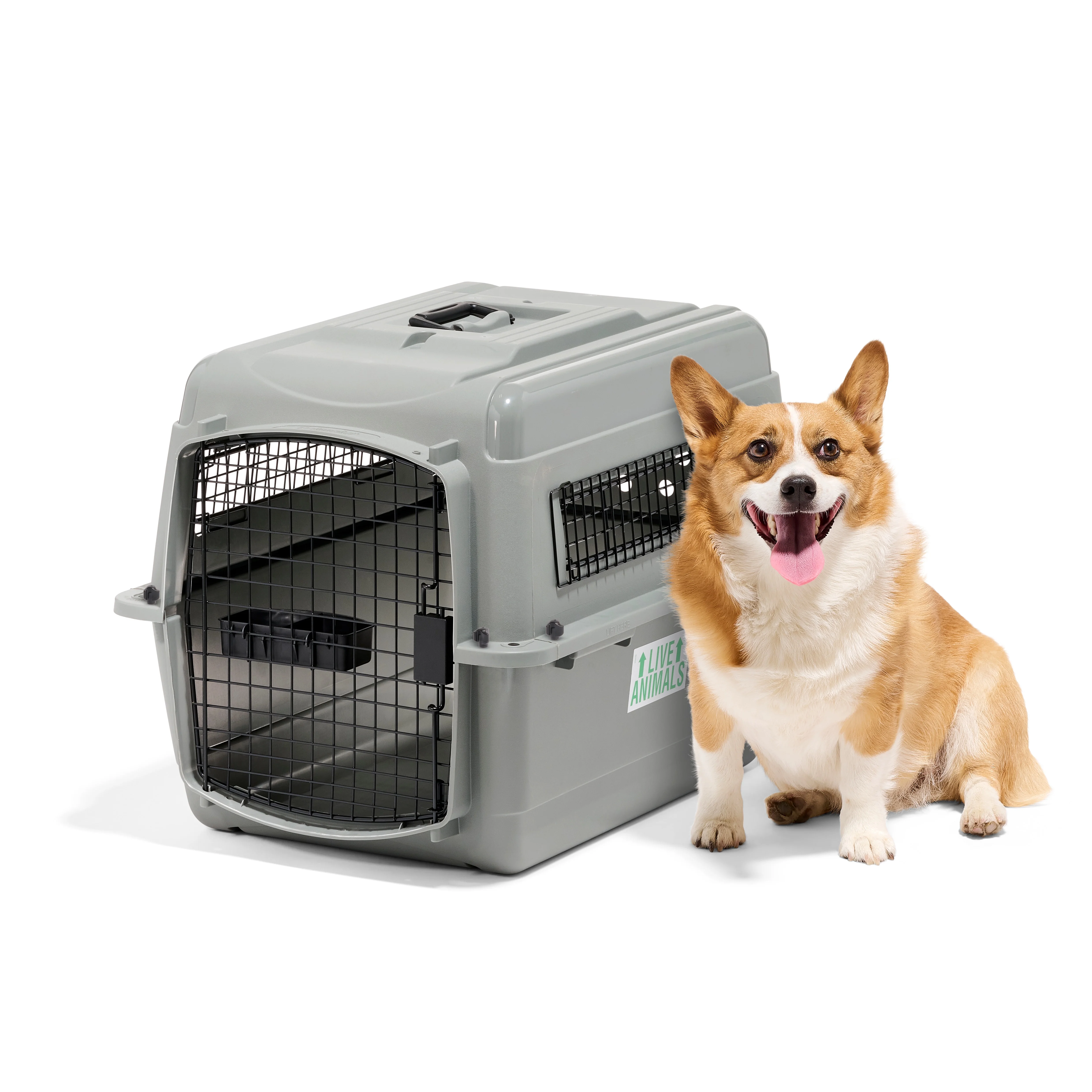 Petmate Sky Kennel for Dogs & Cats, IATA Approved, Plastic Travel Carrier, Gray, For Dogs & Cats 15-30 lbs, Small, 21" x 15" x 21" - Image 6