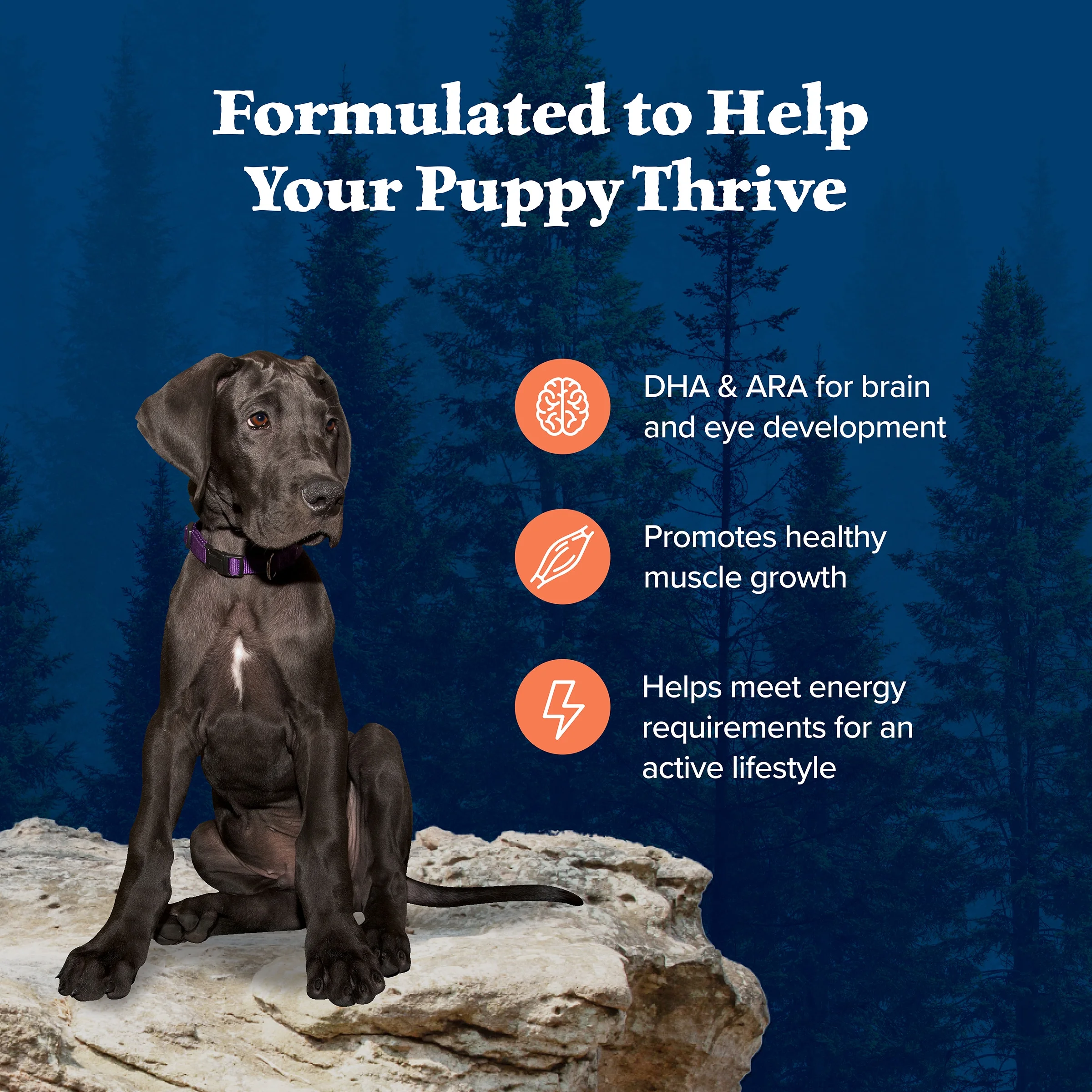 Blue Buffalo Wilderness High-Protein Dry Dog Food for Large Breed Puppies, Chicken, 24 lb bag. - Image 3