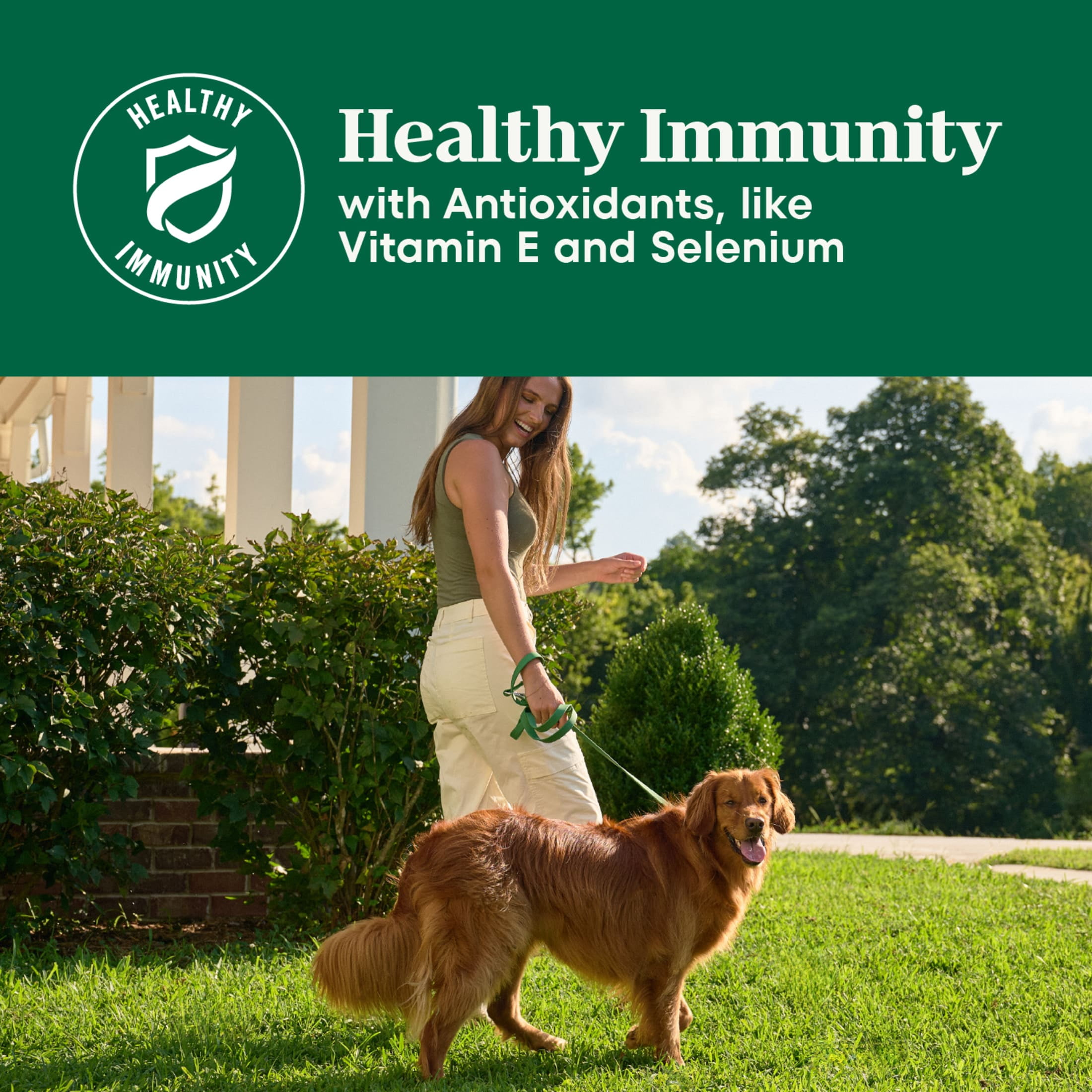 Nutro Natural Choice Adult Large Breed Dog Food Dry Recipe Chicken & Brown Rice, 36 Lb Bag - Image 16