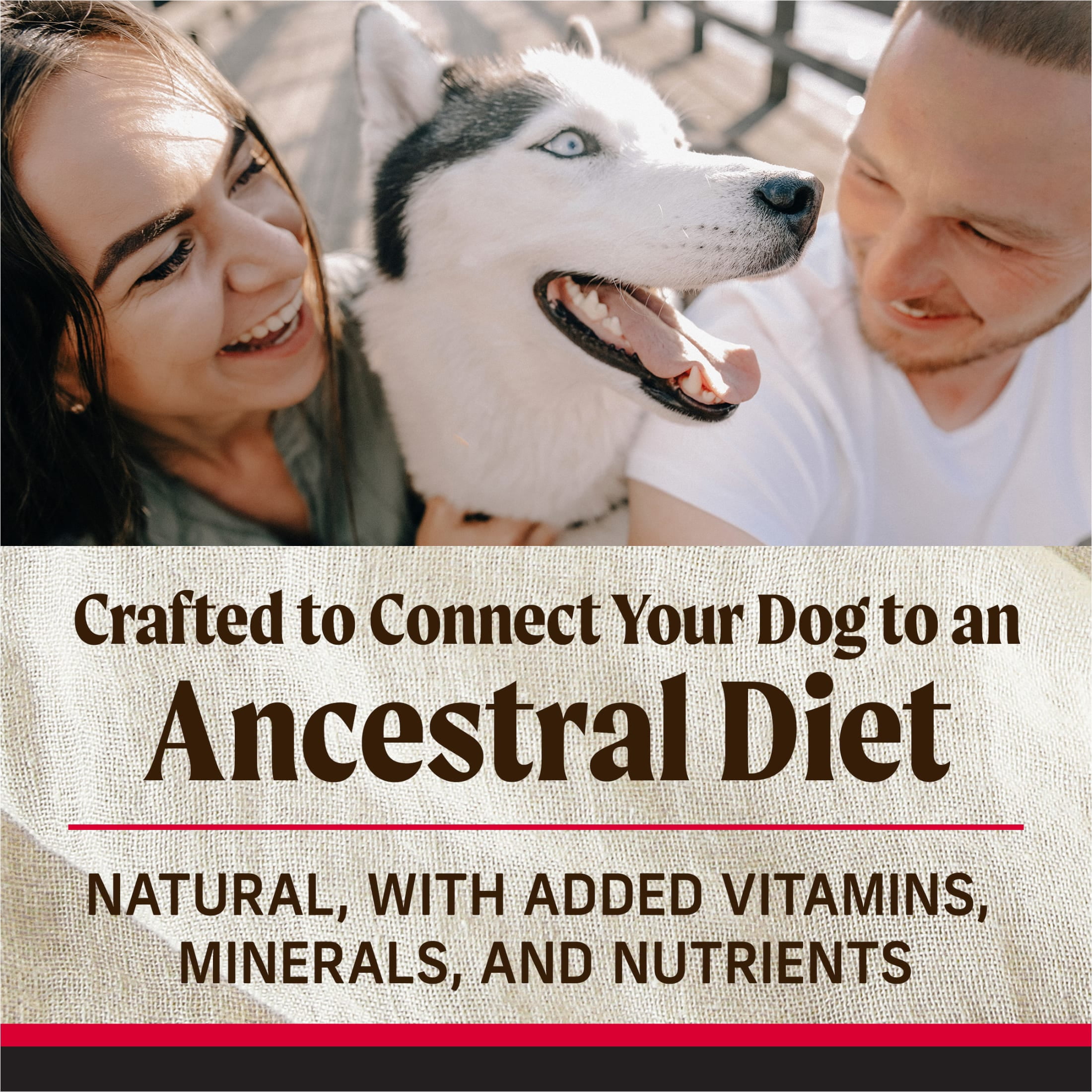 Merrick Backcountry Beef Lamb & Rabbit Dog Food, Grain Free, 4 lb Bag - Image 8