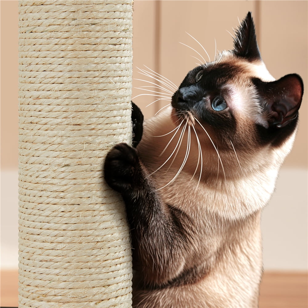 Alden Design 54.5" H Double Condo Cat Tree with Scratching Post Tower, Dark Gray - Image 5