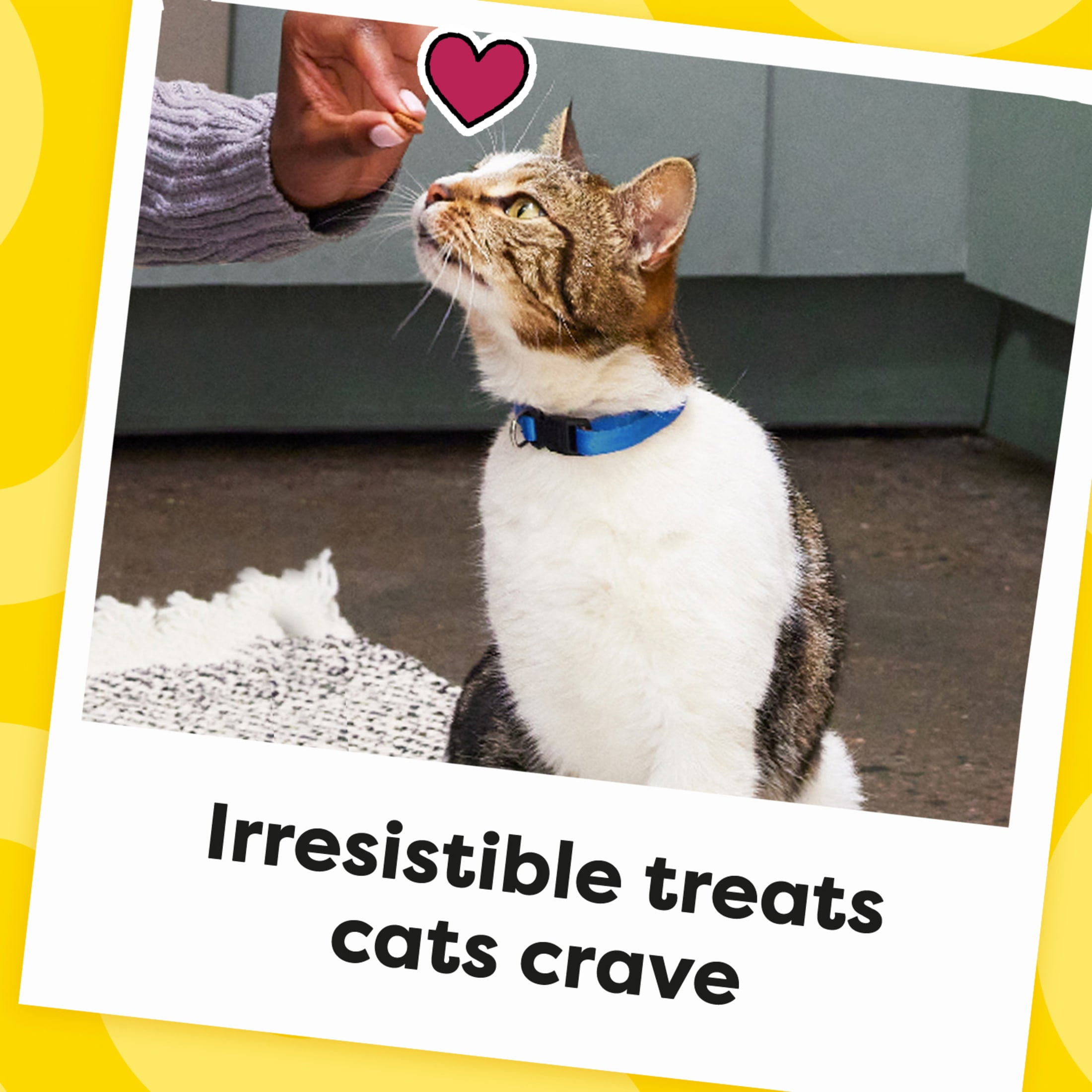 (4 pack) Temptations Classic Tasty Chicken Flavor Crunchy And Soft Treats For Cats, 48 Oz Pouch - Image 5