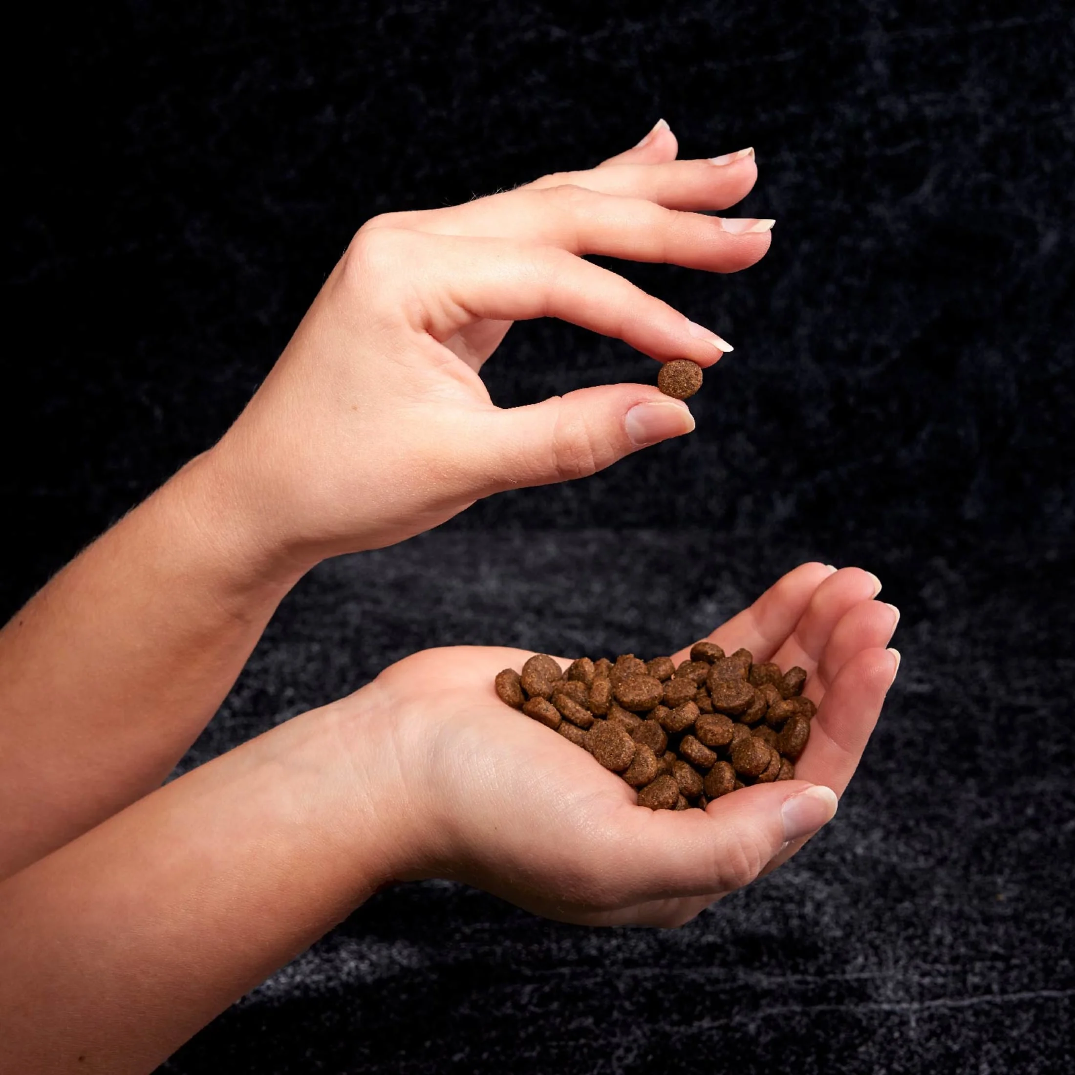 Crave Grain Free Adult Dry Dog Food With Protein From White Fish & Salmon, 22 Lb. Bag - Image 2