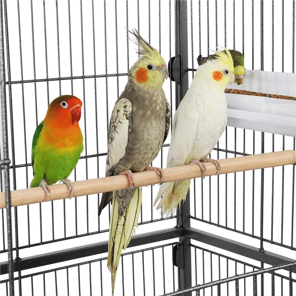 Renwick 52 inch Bird Parrot Cage for Parrot Parakeet Finches, Black - Image 3