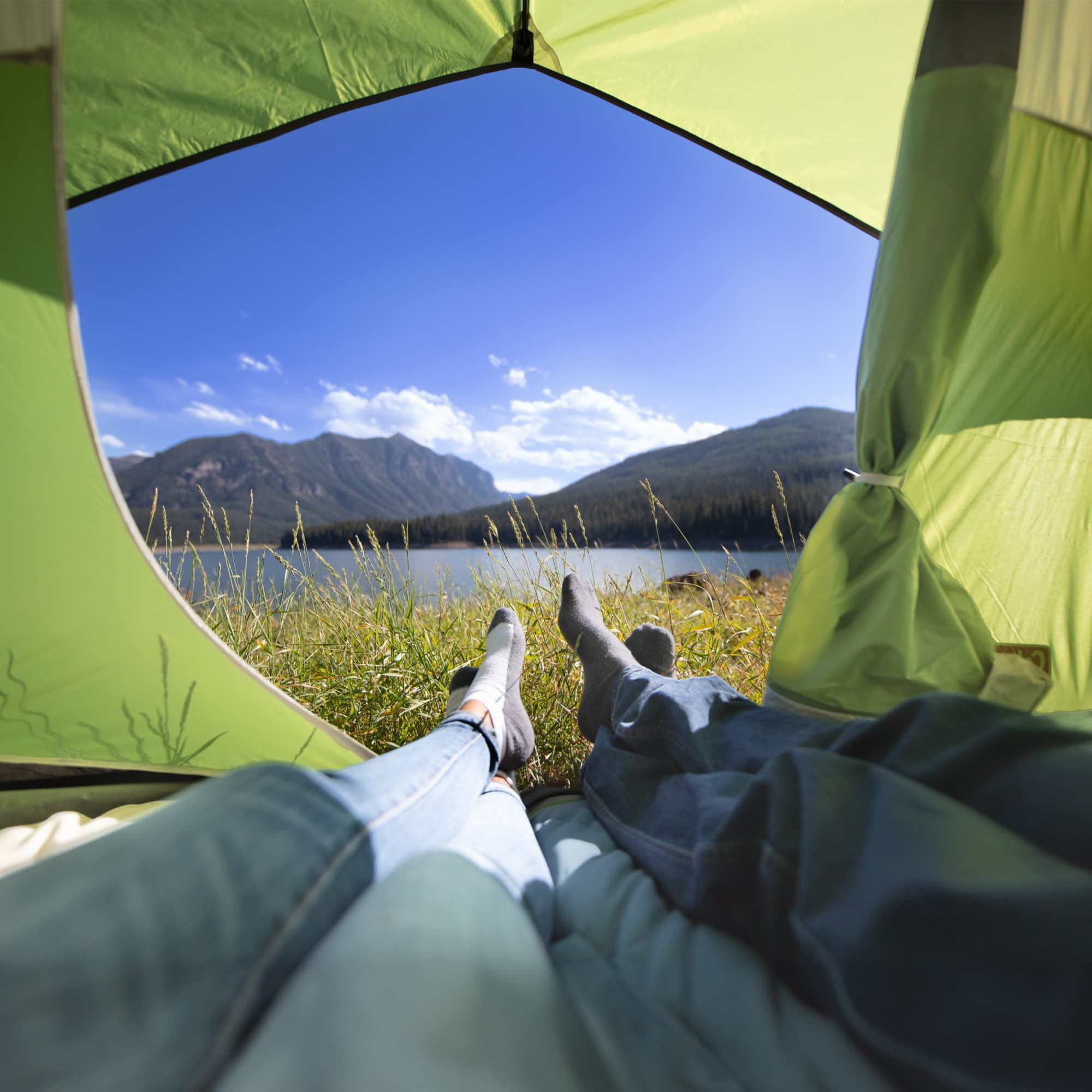 Coleman Sundome 6-Person Dome Tent, Green, 72" Center Height, Overall dimensions: 120'' H x 120'' W - Image 7