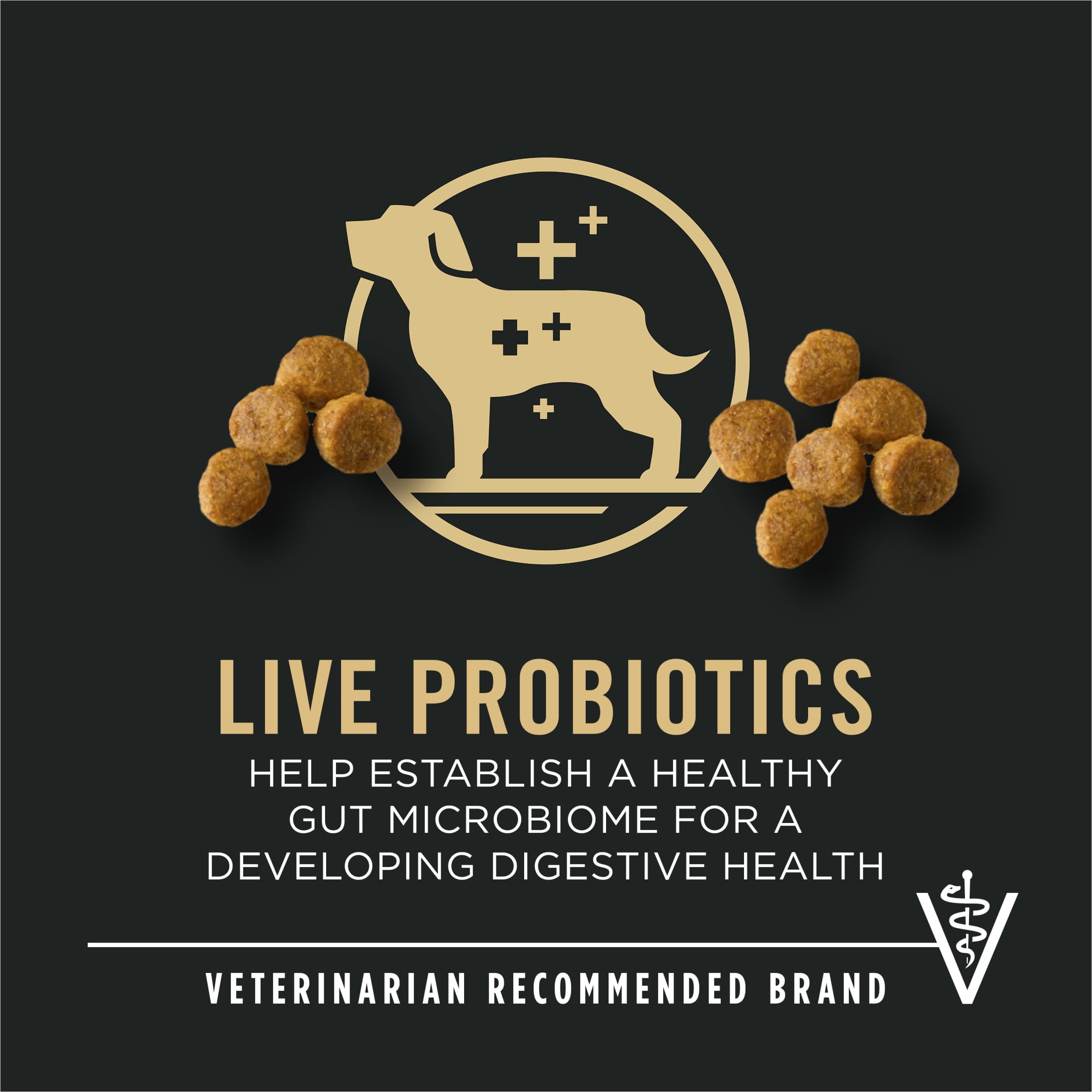 Purina Pro Plan Puppy Dry Dog Food for Small Dogs High Protein, Real Chicken & Rice, 18 lb Bag - Image 11