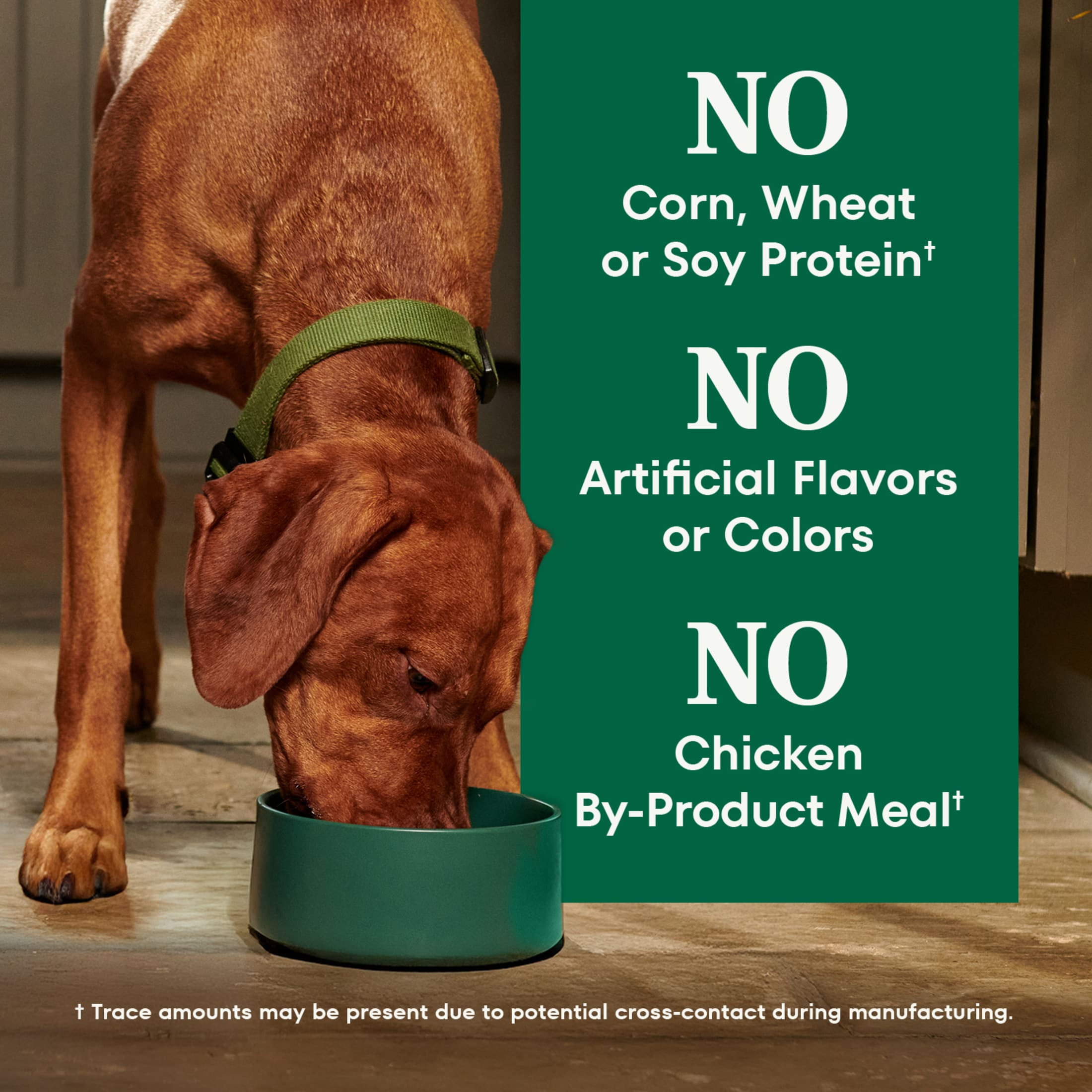 Nutro Natural Choice Adult Large Breed Dog Food Dry Recipe Chicken & Brown Rice, 36 Lb Bag - Image 7