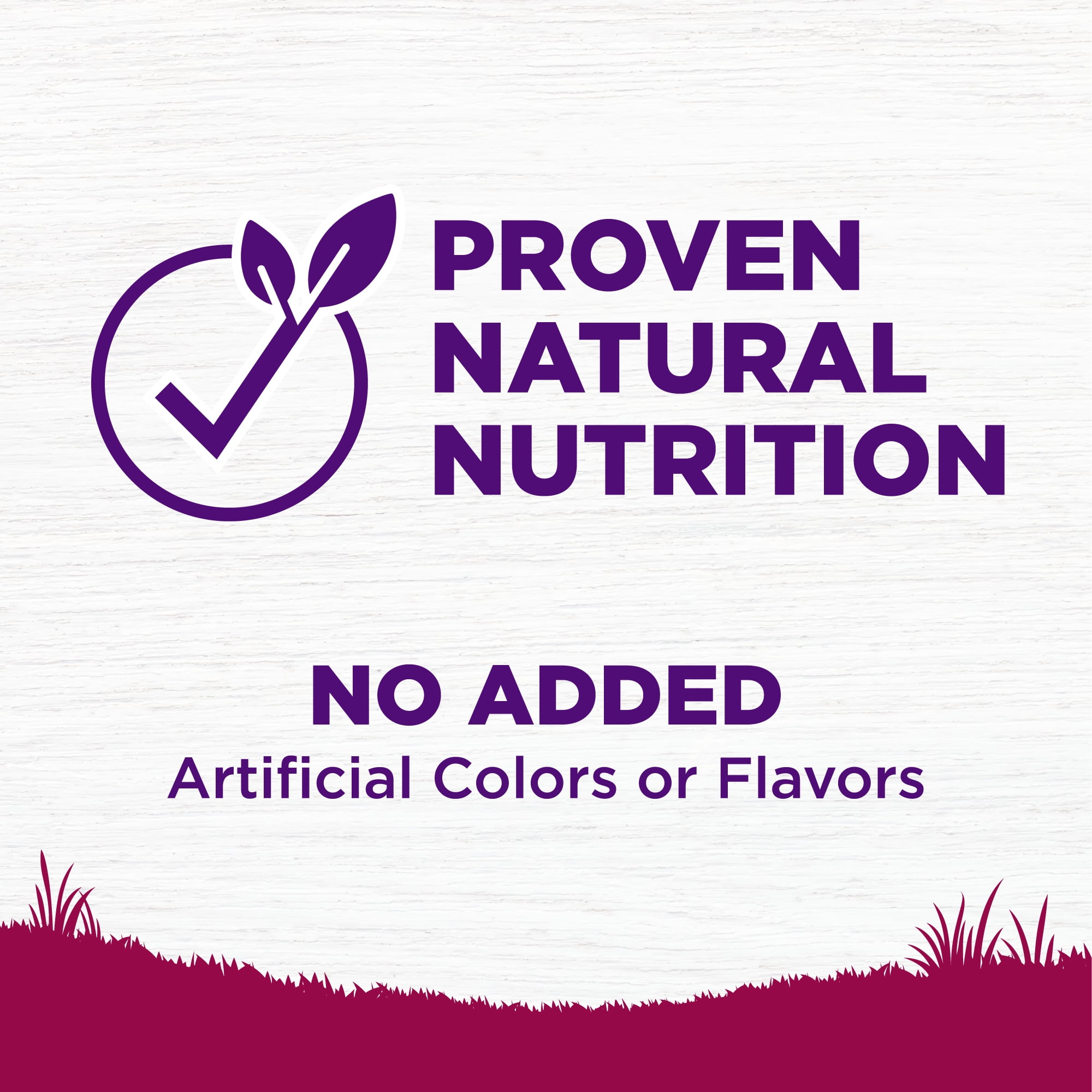 Wellness Complete Health Dry Dog Food, Small Breed, Wholesome Grains, Natural, Turkey & Oatmeal Recipe, (12-Pound Bag) - Image 7