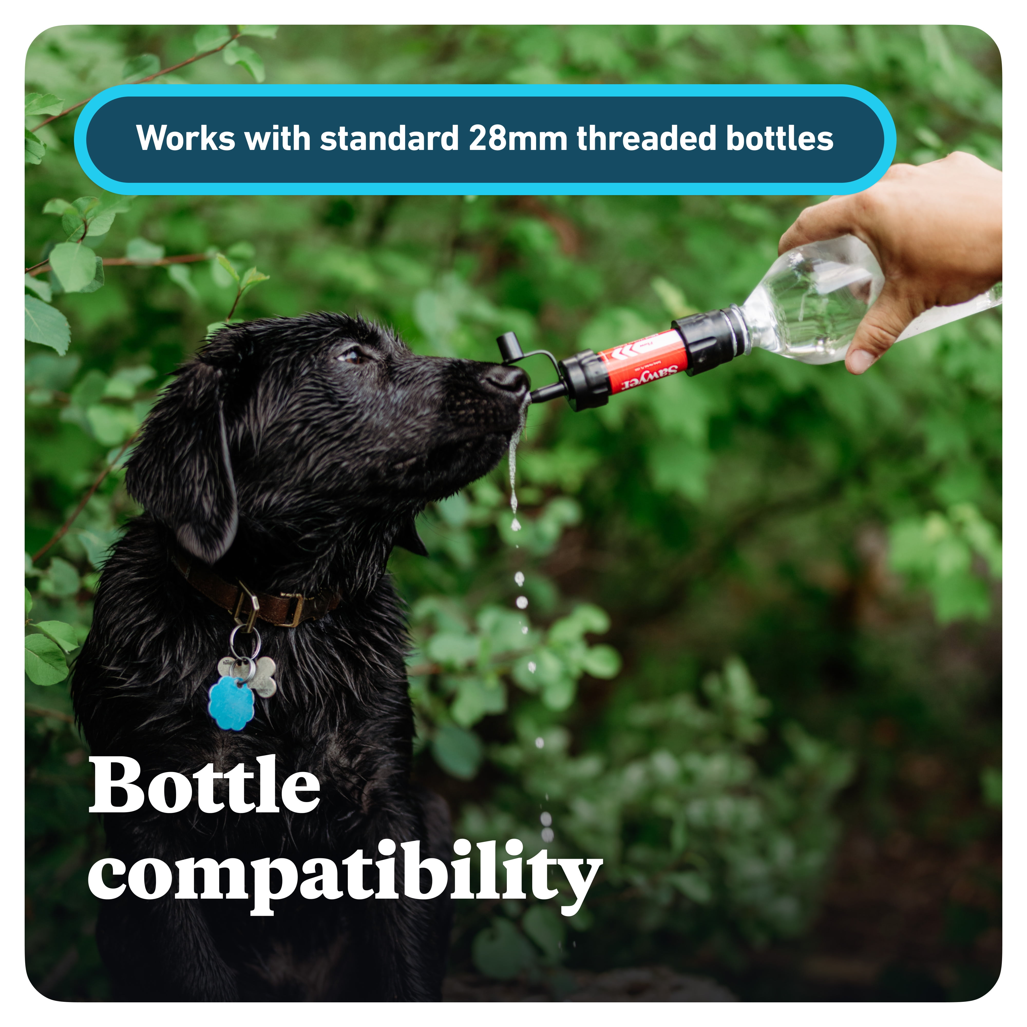 Sawyer Products SP2101 MINI Water Filtration System, 2-Pack, Blue / Green - Image 10