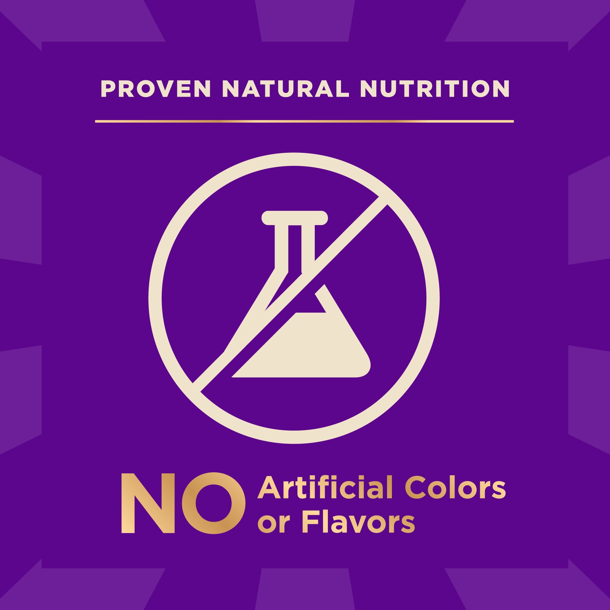 Wellness CORE+ (Formerly RawRev) Dry Dog Food with Freeze Dried Pieces, Grain Free, High Protein, Natural, Ocean Whitefish, Herring, & Salmon Recipe, (10-Pound Bag) - Image 6