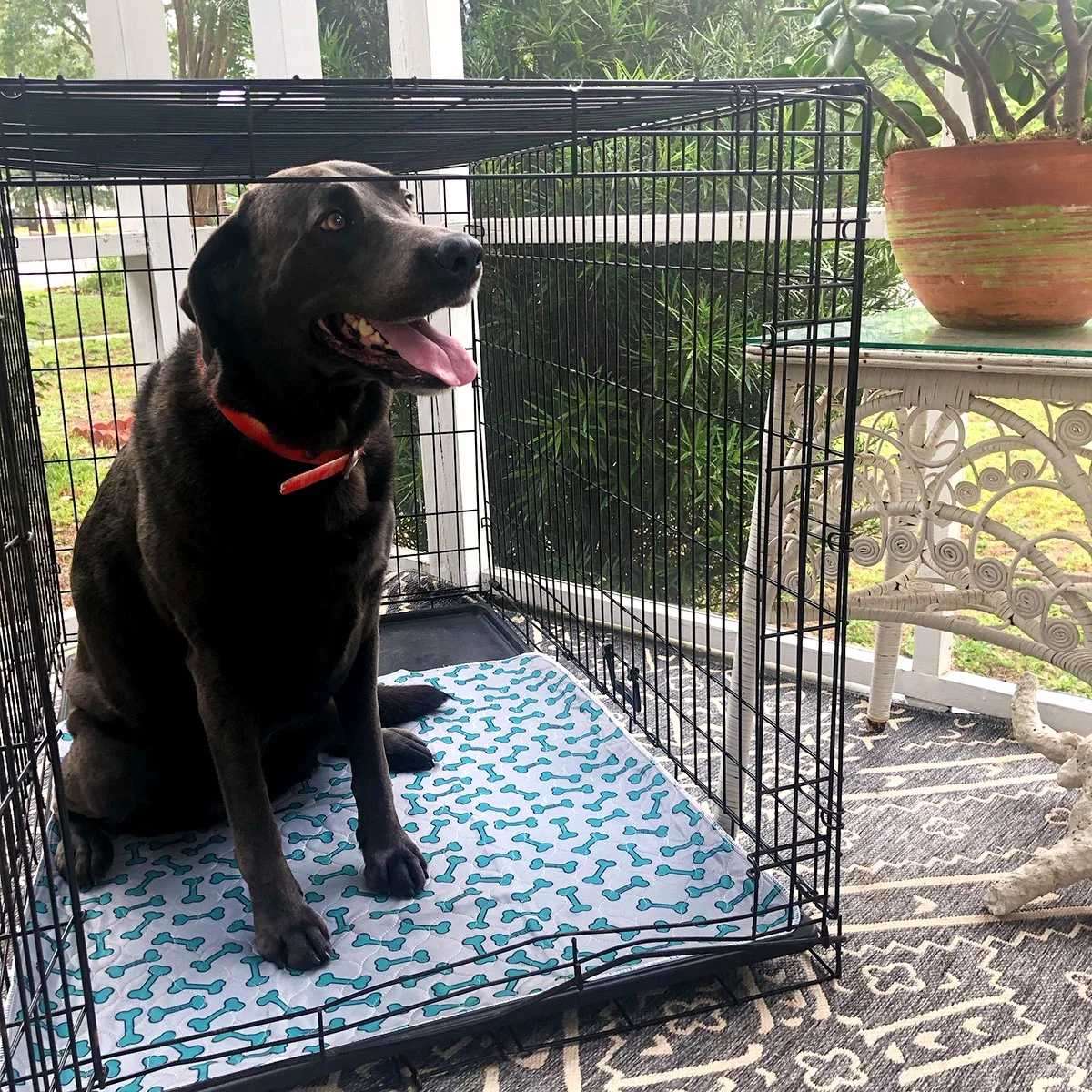 rocket & rex Premium Washable Pee Pads for Dogs, Waterproof & Reusable Puppy Pads for Potty Training, Lining Crates & More, Guaranteed for 300 Washes, 30" x 36" (Pack of 4) - Image 3