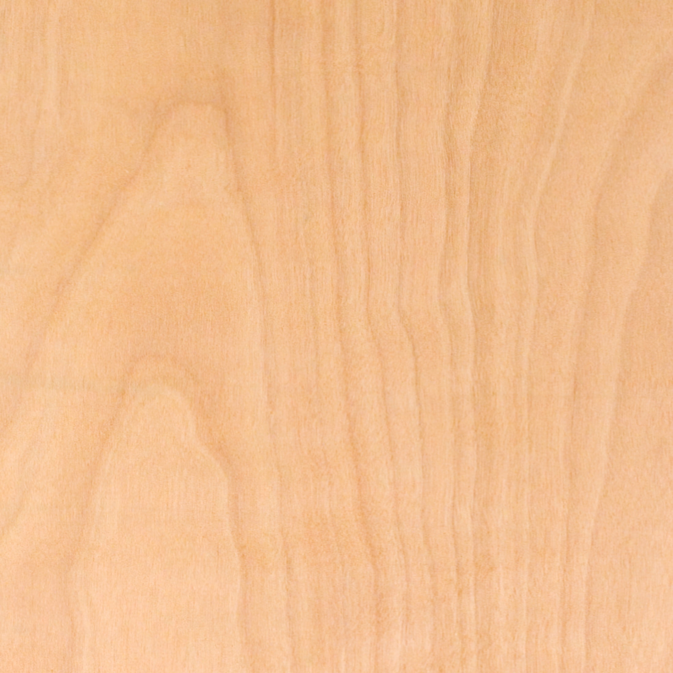 Flash Furniture Gael 6-Foot Rectangular Wood Folding Training / Seminar Table with Smooth Clear Coated Finished Top - Image 9