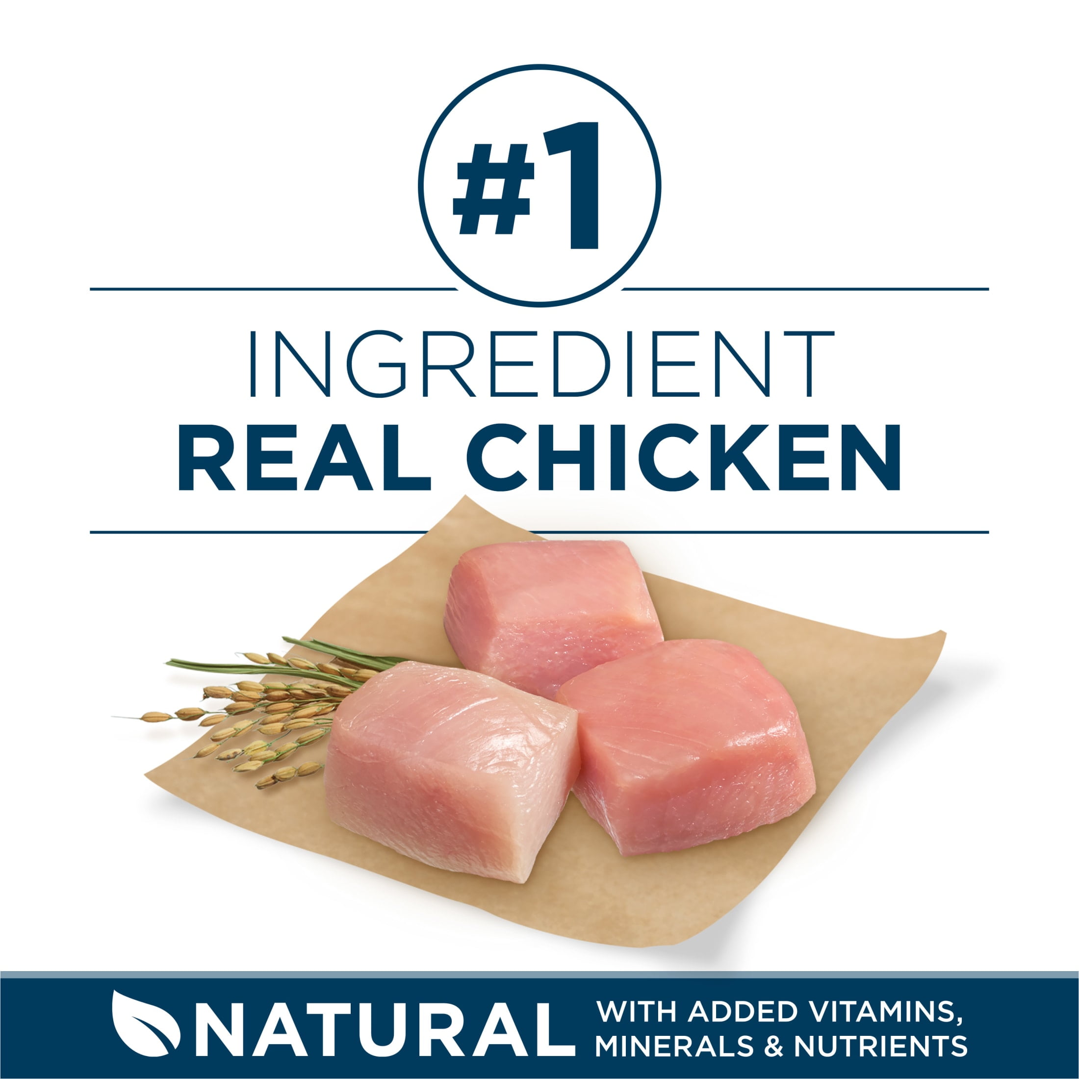 Purina One +Plus Dry Dog Food for Large Adult Dogs High Protein, Real Chicken, 16.5 lb Bag - Image 7