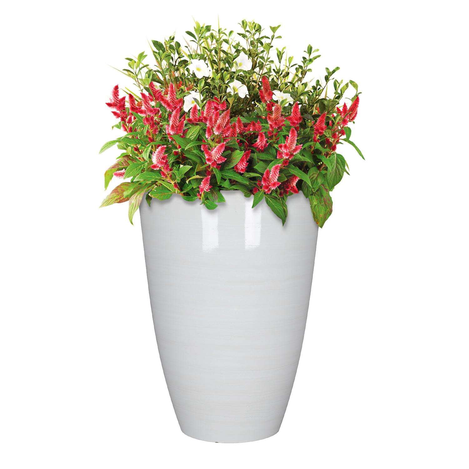 L&G Solutions 22 in. H X 16 in. D Polyresin Baja Planter White - Image 3