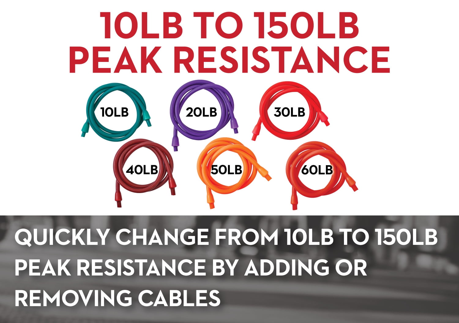 Lifeline Fitness Pro Resistance Training Kit with Resistance Cables, Handles, Door Anchor with Carry Bag. Great for Home, Gym or Travel - Image 2