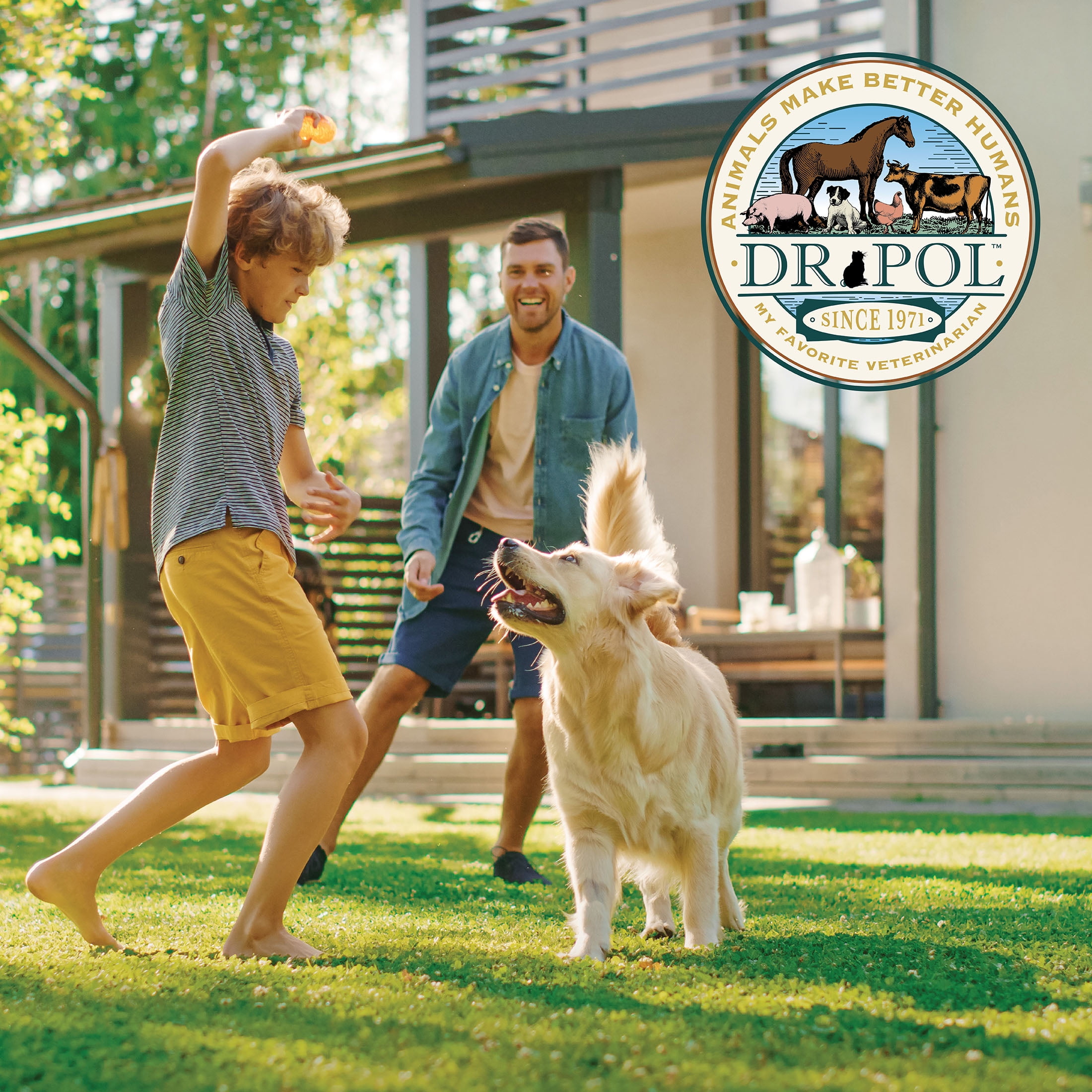 Dr. Pol Healthy Balance Limited Ingredient Chicken Recipe Adult Dog Food, 24 lb. Bag - Image 4