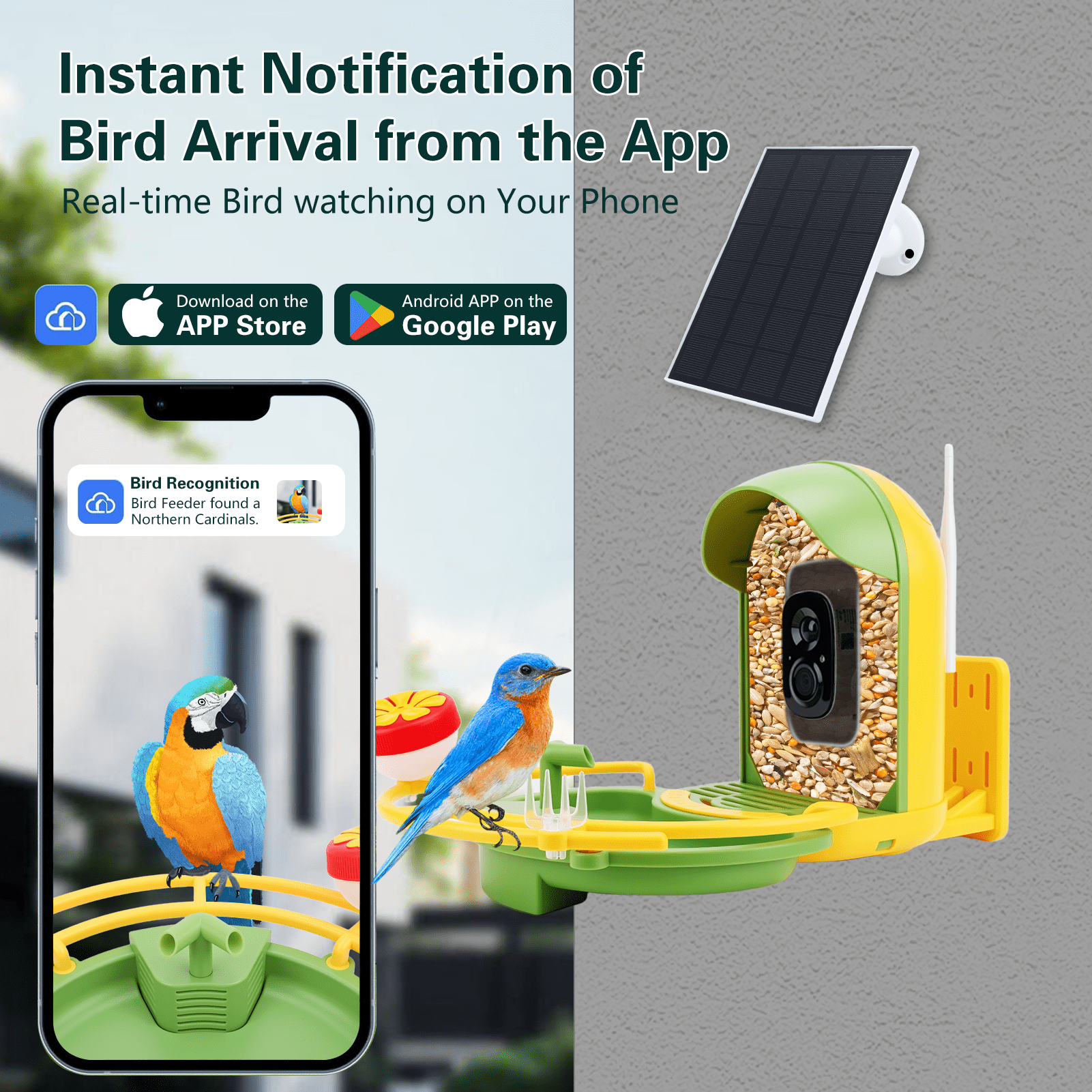 Smart Bird Feeder with Camera & Bird Bath,Bird Watching Camera with Motion Detection & Solar Panel,Waterproof, 2K Live View,Ideal Present for Bird Lover,Yellow - Image 2