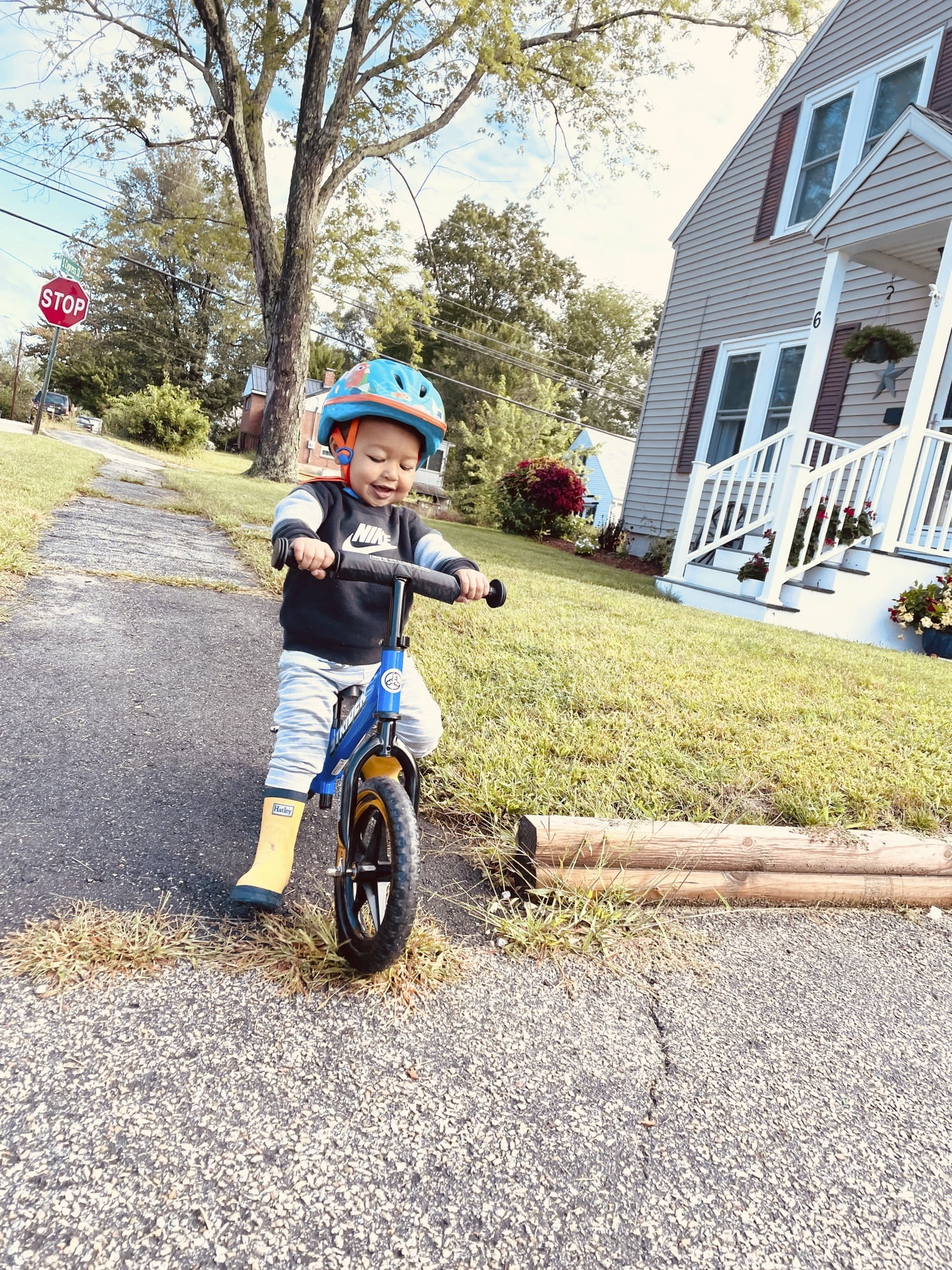 Strider 12” Sport Bike, Blue - No Pedal Balance Bicycle for Kids 1 to 4 Years - Includes Safety Pad, Padded Seat, Mini Grips & Flat-Free Tires - Tool-Free Assembly & Adjustments - Image 2