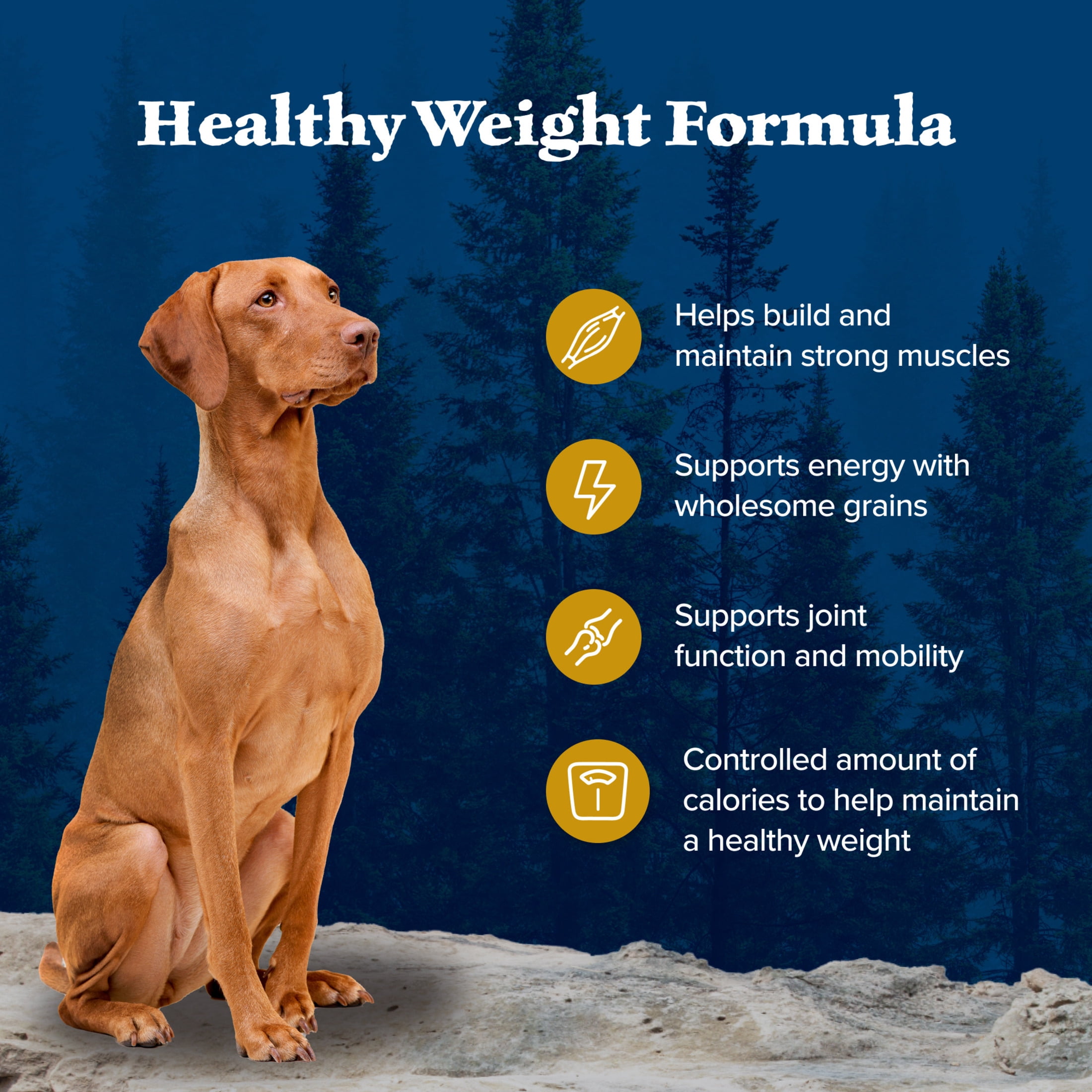 Blue Buffalo Wilderness Healthy Weight Dry Dog Food Plus Wholesome Grains, Chicken 24 lbs. - Image 11