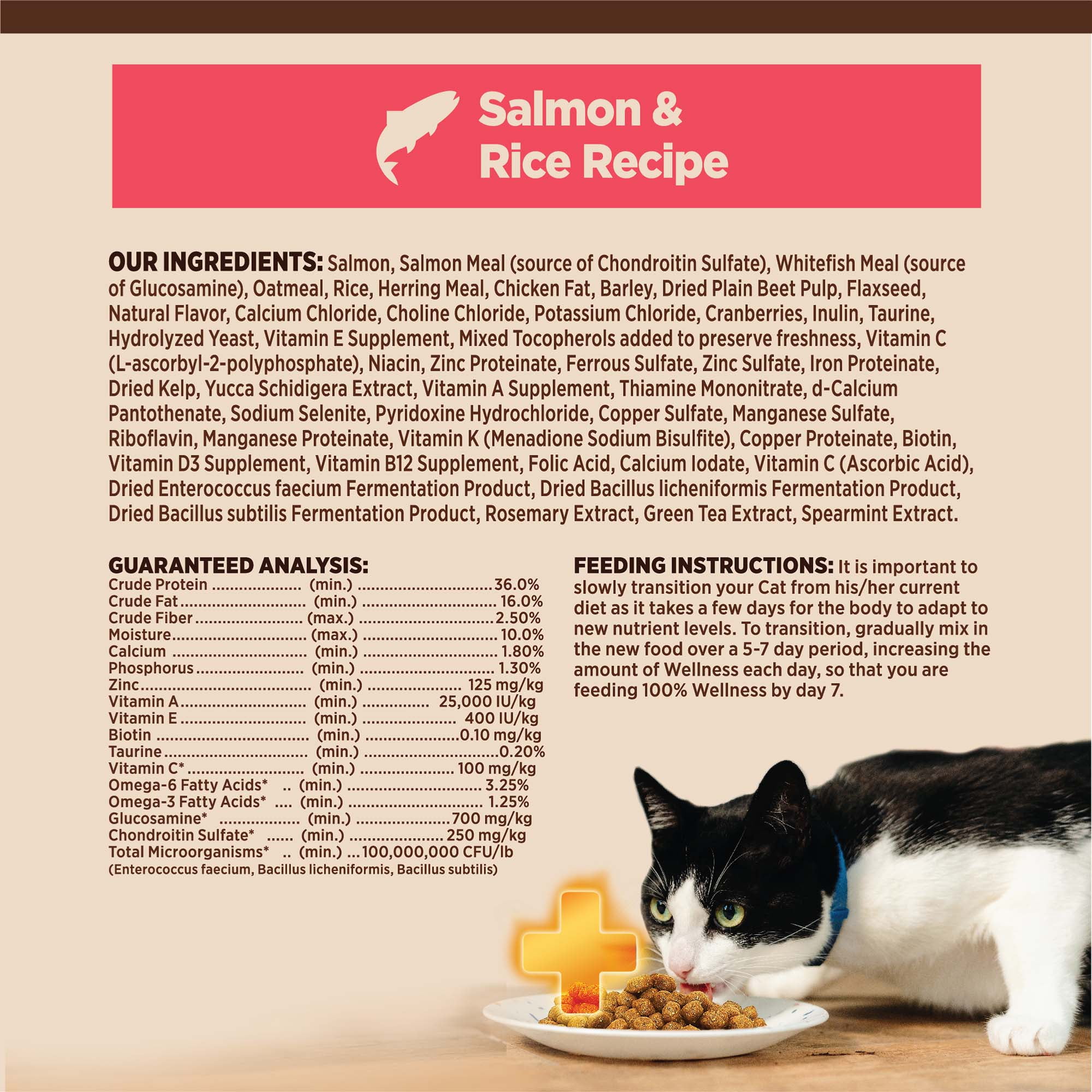 Wellness CORE+ Digestive Health Salmon & Rice Dry Cat Food, 11 Pound Bag - Image 6
