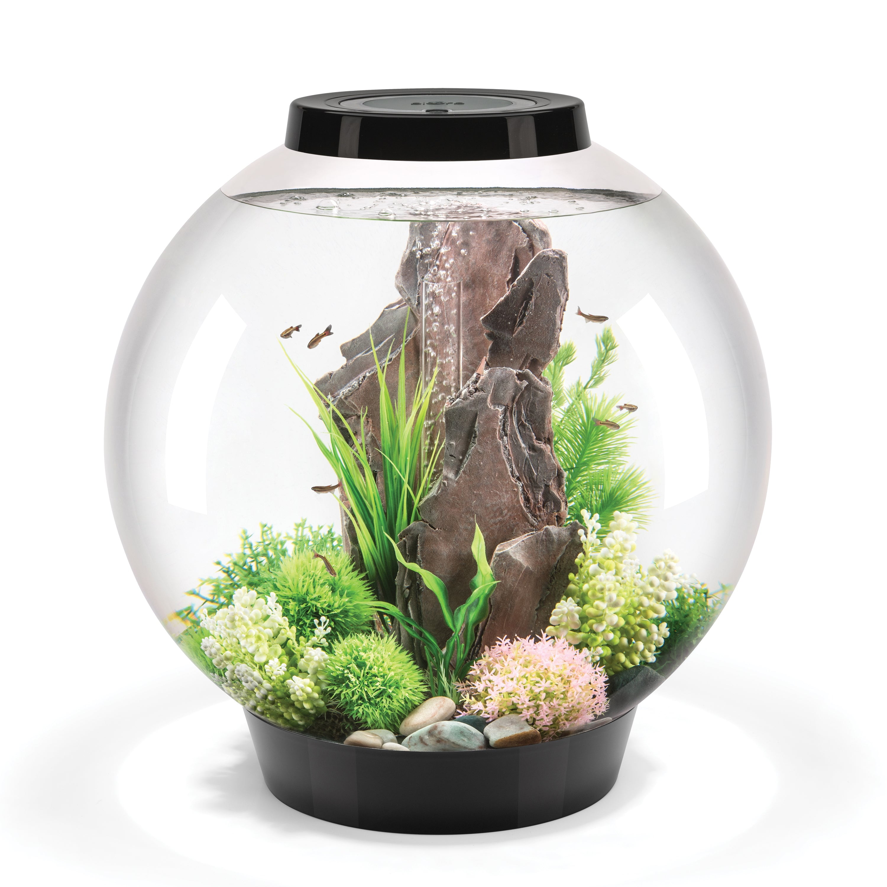biOrb CLASSIC 60 Aquarium with Standard Light - 16 Gallon, Black, Acrylic
