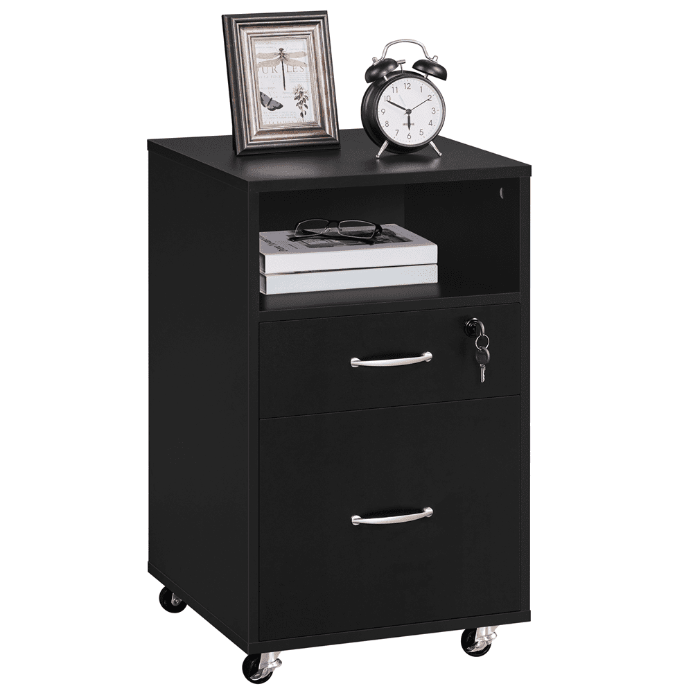 Alden Design 2- Drawer Wooden Vintage Mobile File Cabinet for Home and Office, Black