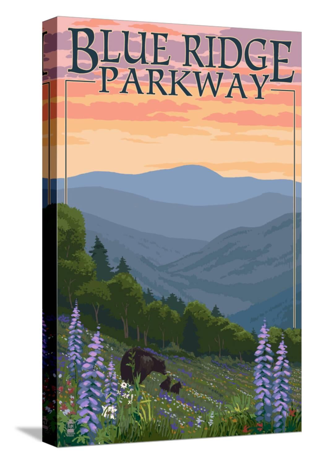 Art.com Blue Ridge Parkway - Bear Family and Spring Flowers Stretched Canvas Print Wall Art by Lantern Press, 12" x 18"